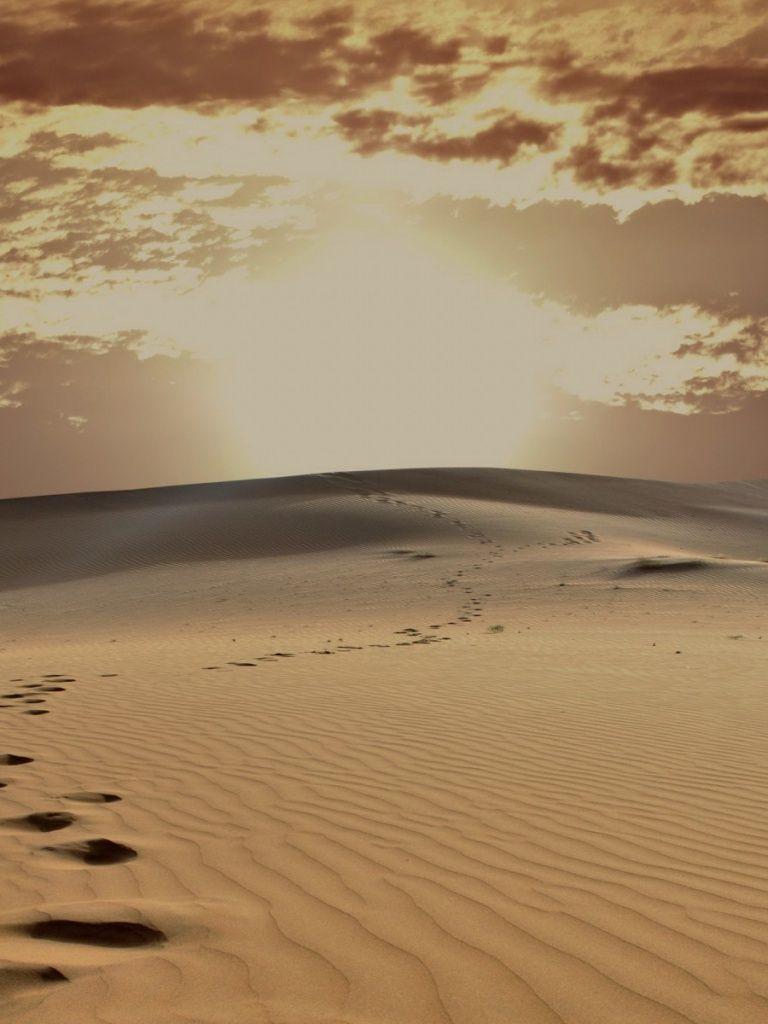 768x1024 Desert Jaisalmer India iPad wallpaper