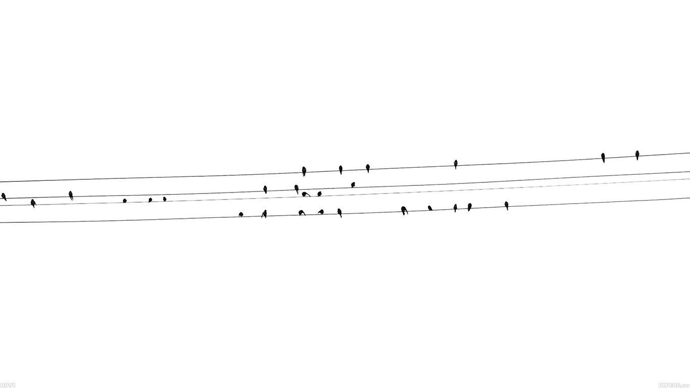 1366x768 wallpaper for desktop, laptop. birds nature minimal white