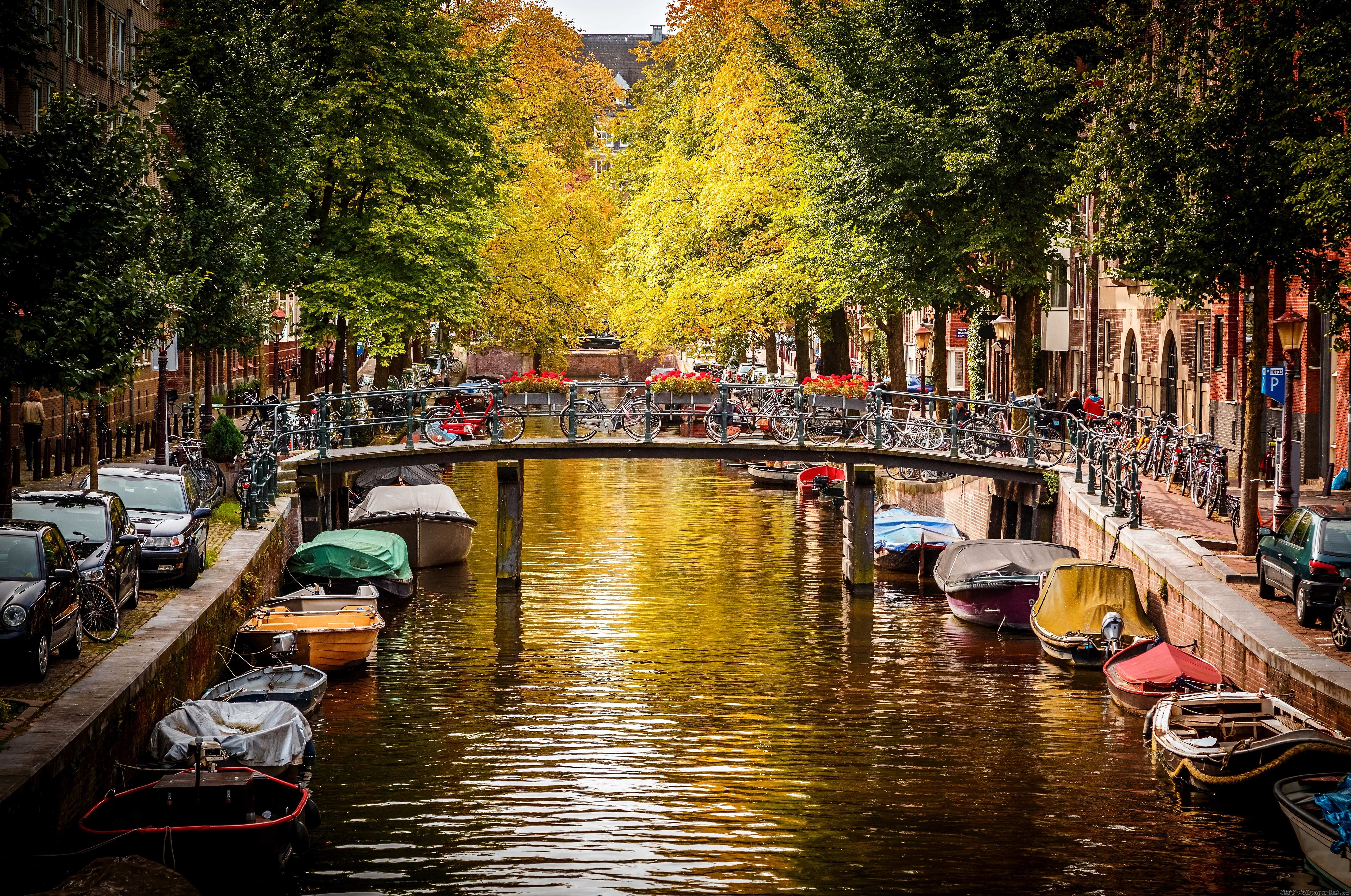 5760x3820 Early Autumn in Amsterdam HD wallpaper. Widescreen picture