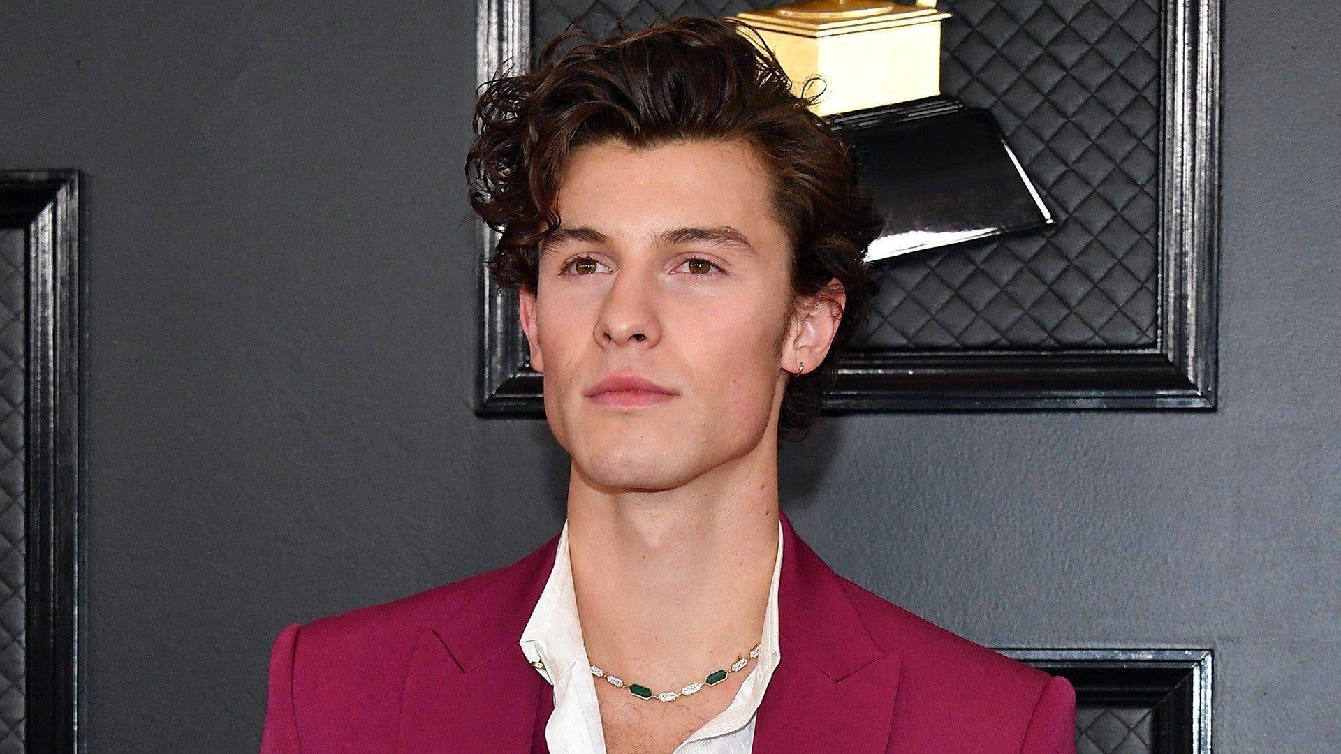 1920x1080 Camila Cabello and Shawn Mendes Arrive Separately at 2020 GRAMMYs