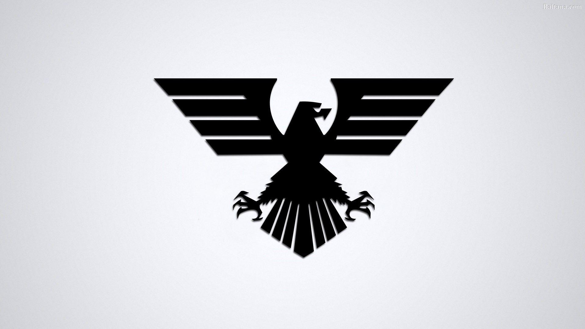 1920x1080 Eagle High Definition Wallpaper 29693