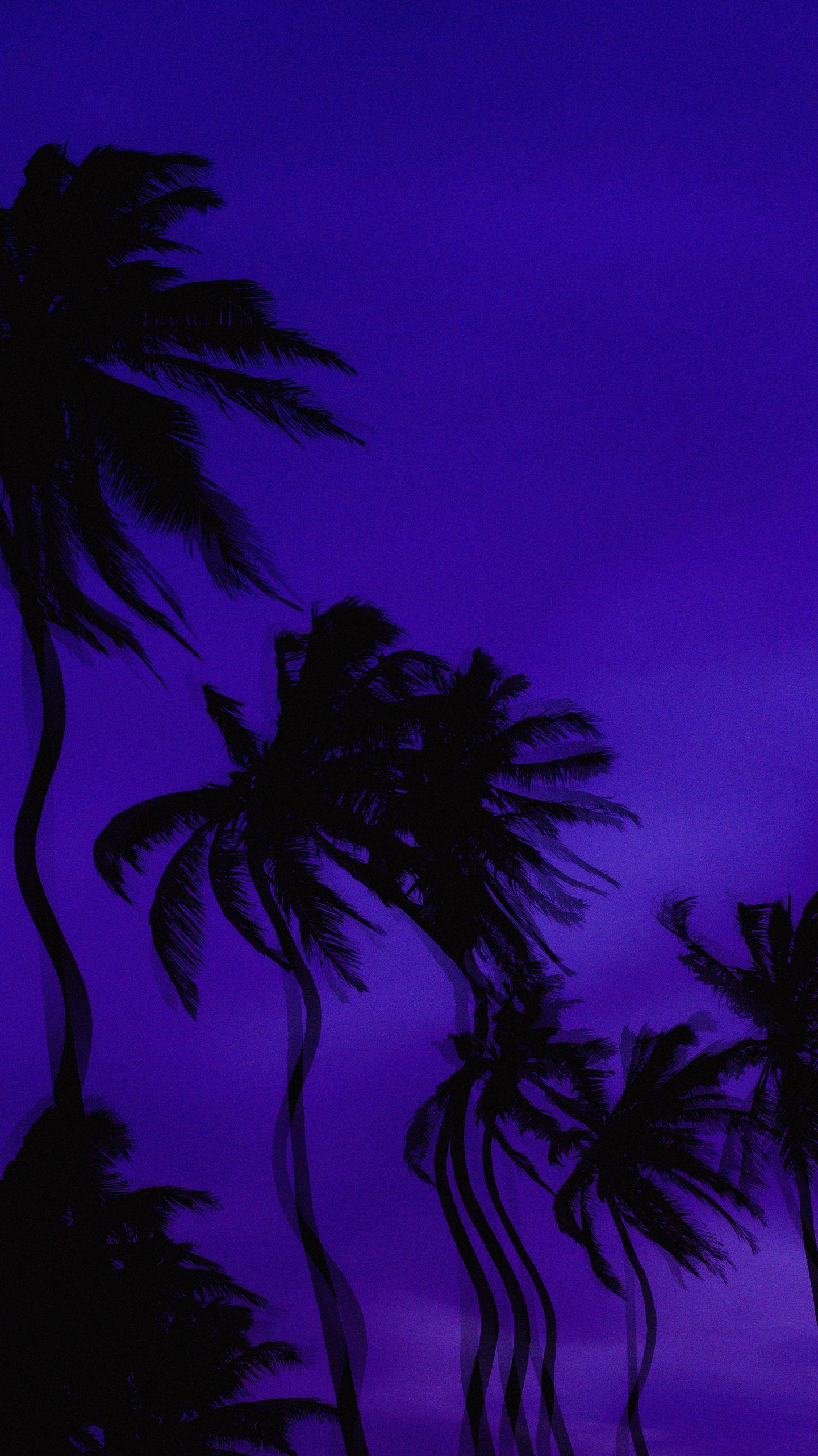 1440x2560 Download wallpaper 1440x2560 palm trees, dark, illusion
