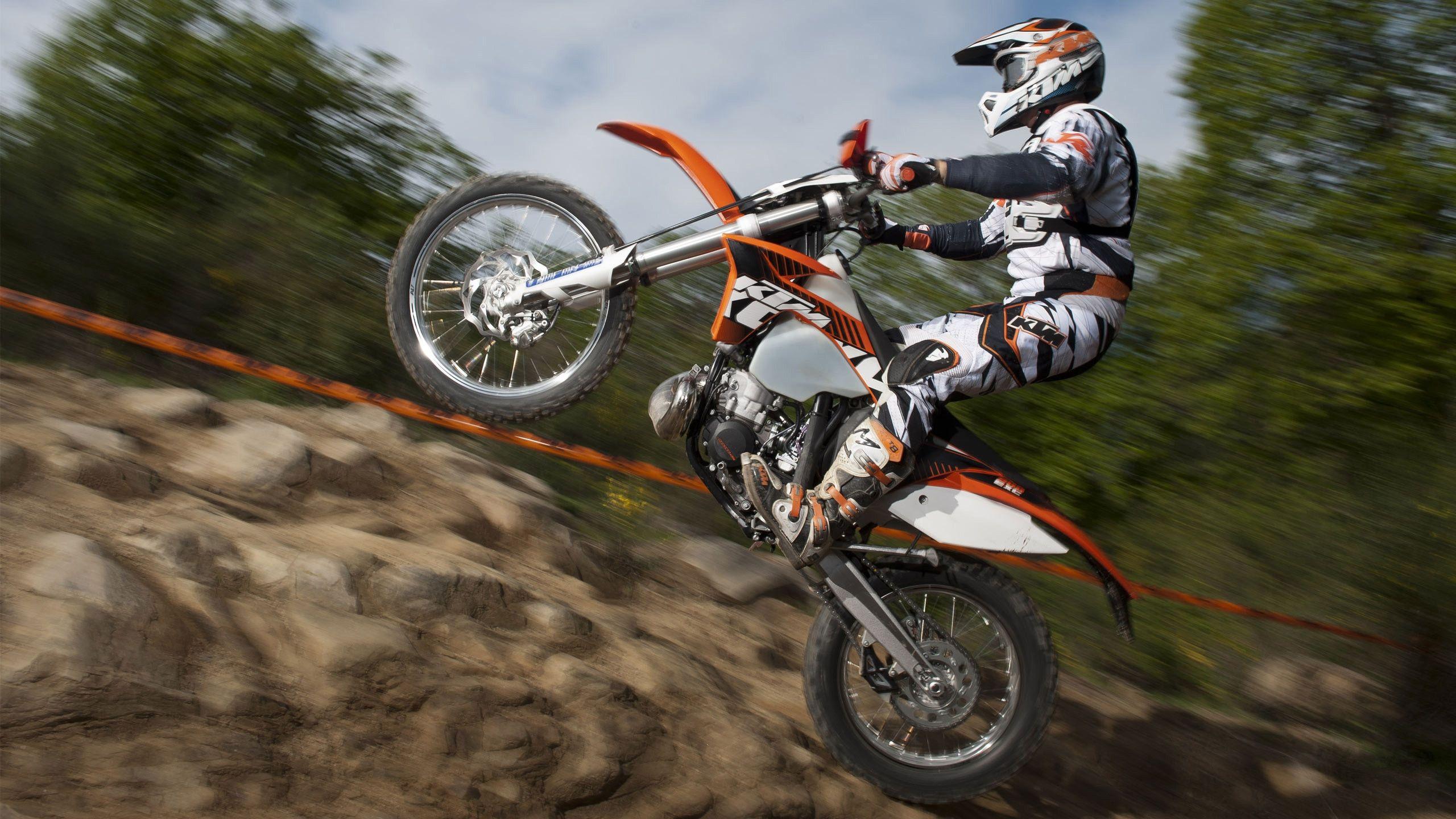 2560x1440 Wallpaper Motocross KTM