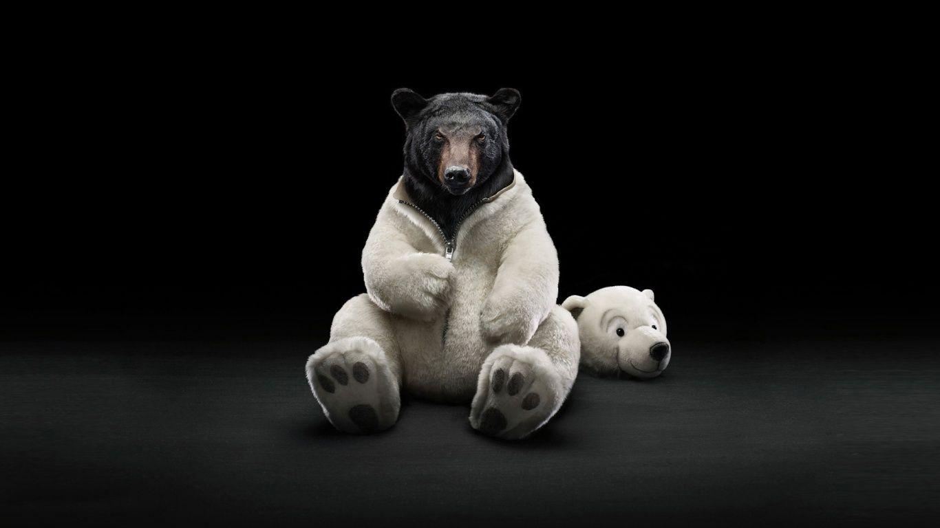 1366x768 Dressed Bear desktop PC and Mac wallpaper