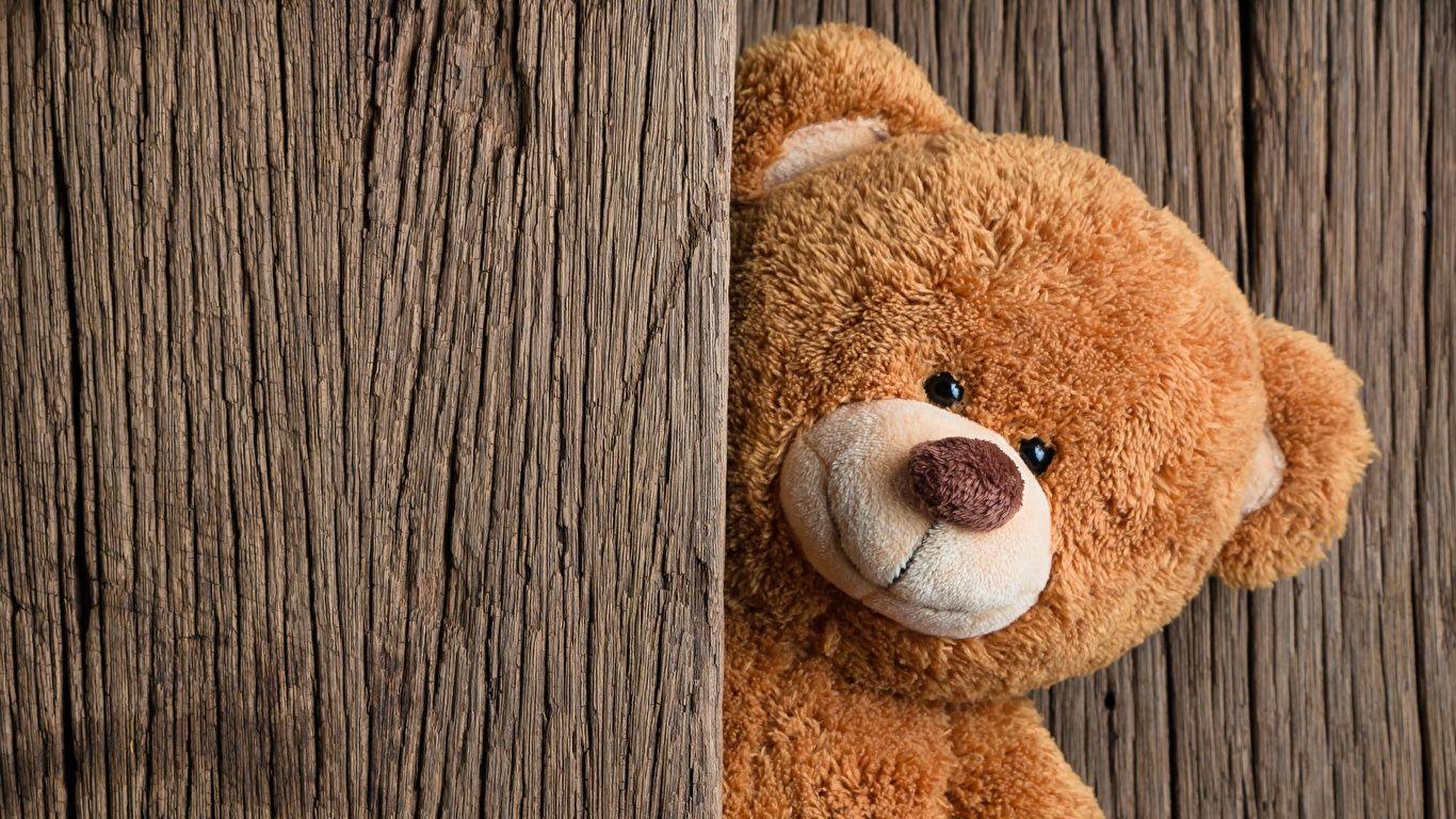 1366x768 Picture Teddy bear 1366x768