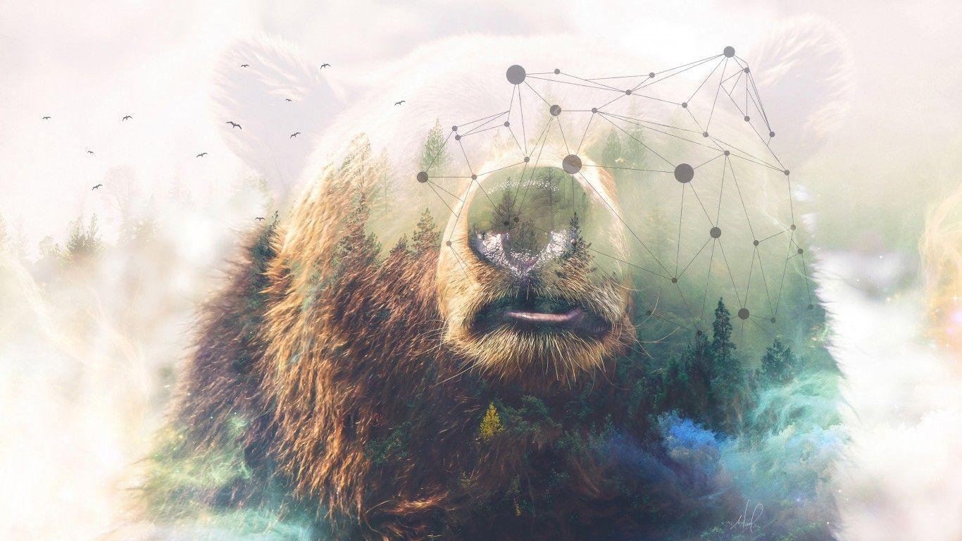 1366x768 Download 1366x768 Grizzly Bear, Photo Manipulation, Forest