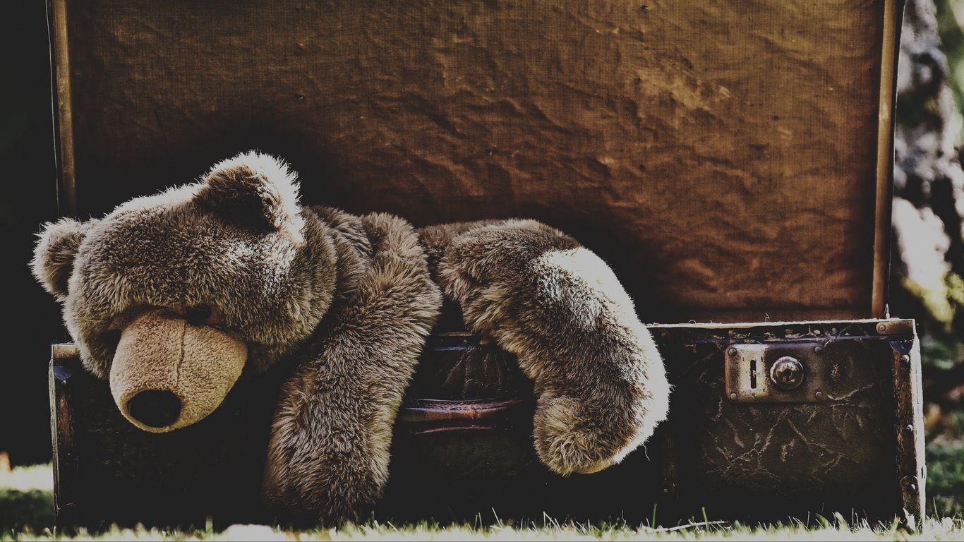 1366x768 Download wallpaper 1366x768 teddy bear, bear, toy, sadness