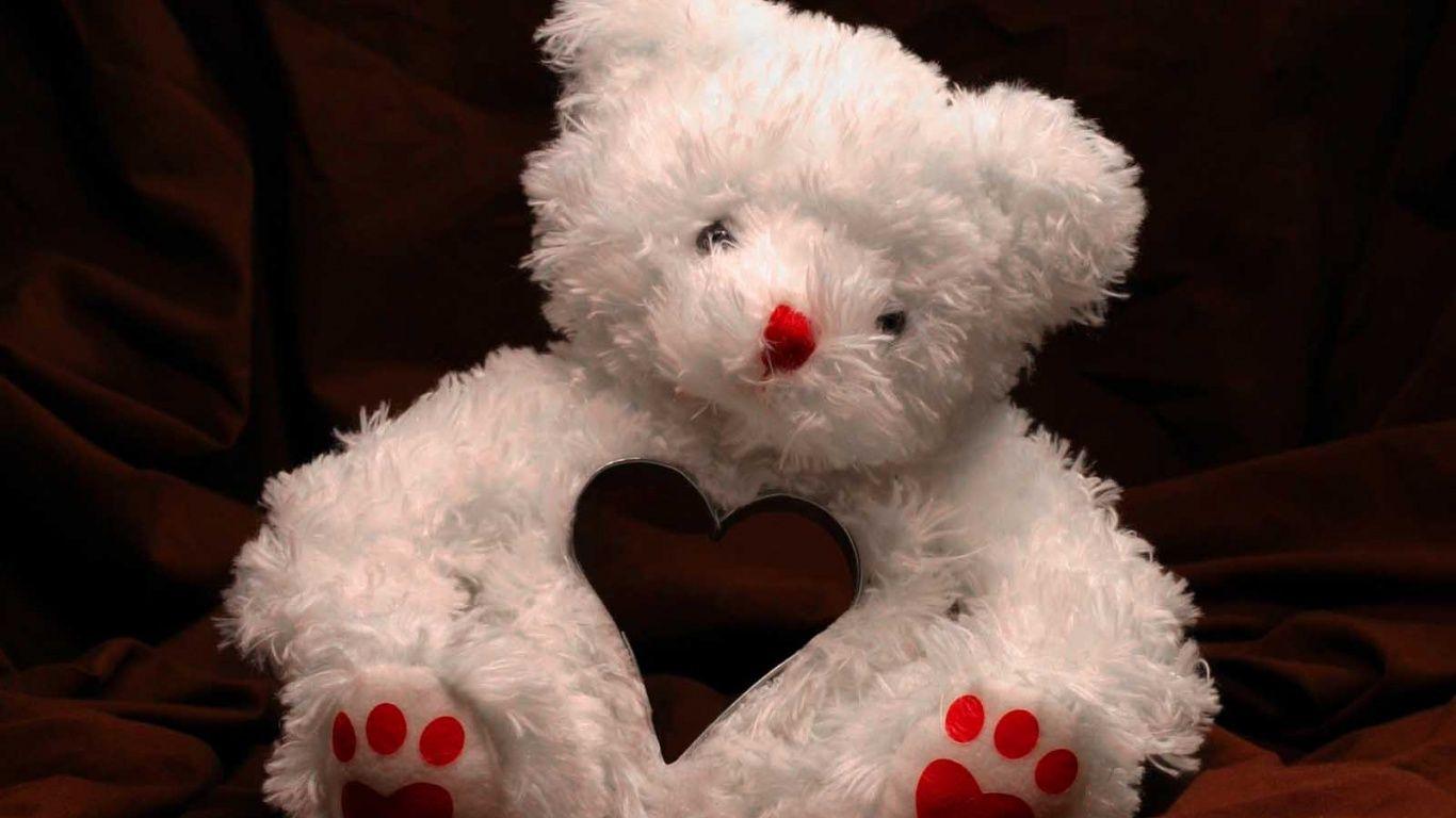 1366x768 Valentine's bear desktop PC and Mac wallpaper