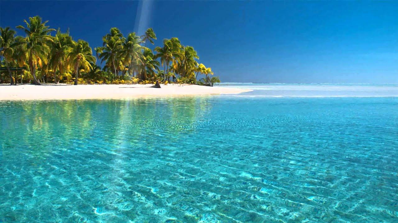 1280x720 Tropical Beach Animated Wallpaper