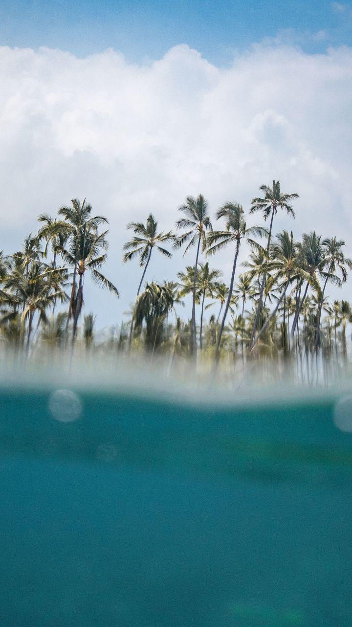 720x1280 Hawaii, beach, sea wave, palm trees, 720x1280 wallpaper. Beach wallpaper, Sea waves, Hawaii beaches