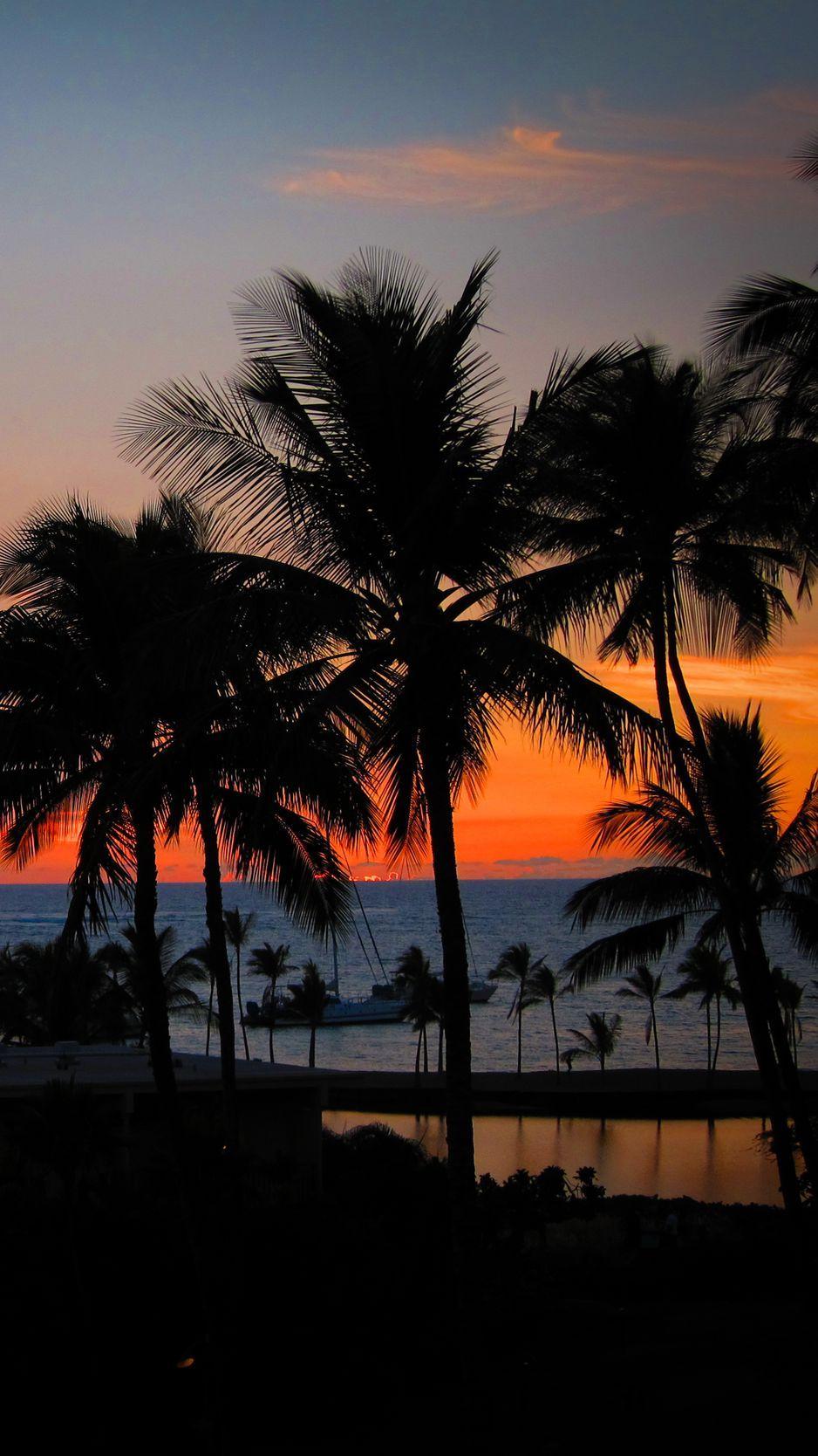 938x1668 Download Wallpaper 938x1668 Palm Trees, Sunset, Hawaii, Ocean, Horizon Iphone 8 7 6s 6 For Parallax HD Background