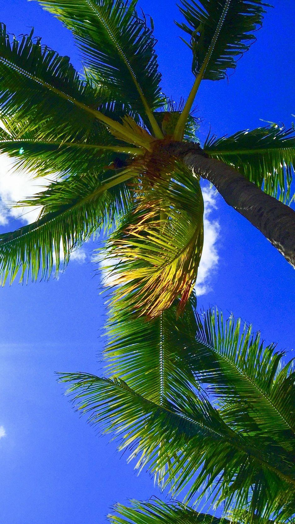 938x1668 Hawaii iPhone Wallpaper