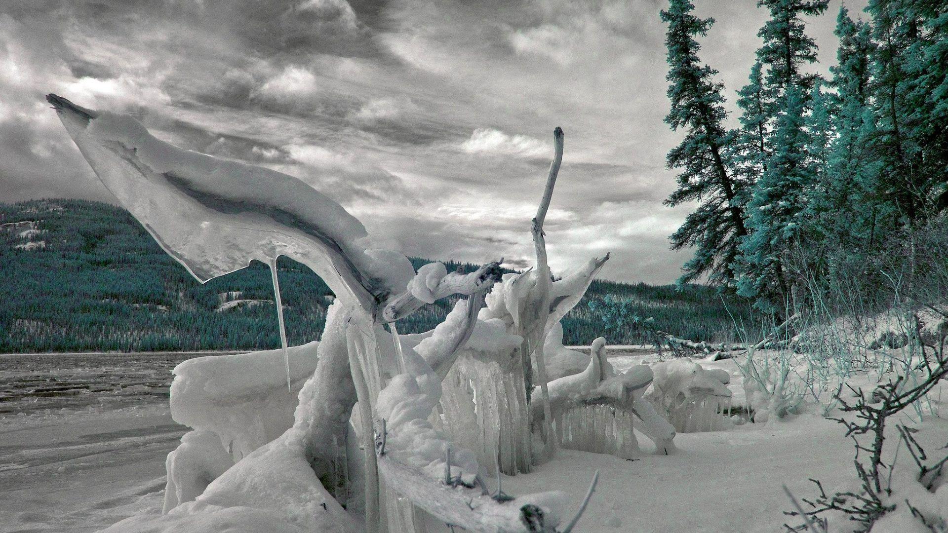 Ice Sculpture Wallpapers - Top Free Ice Sculpture Backgrounds