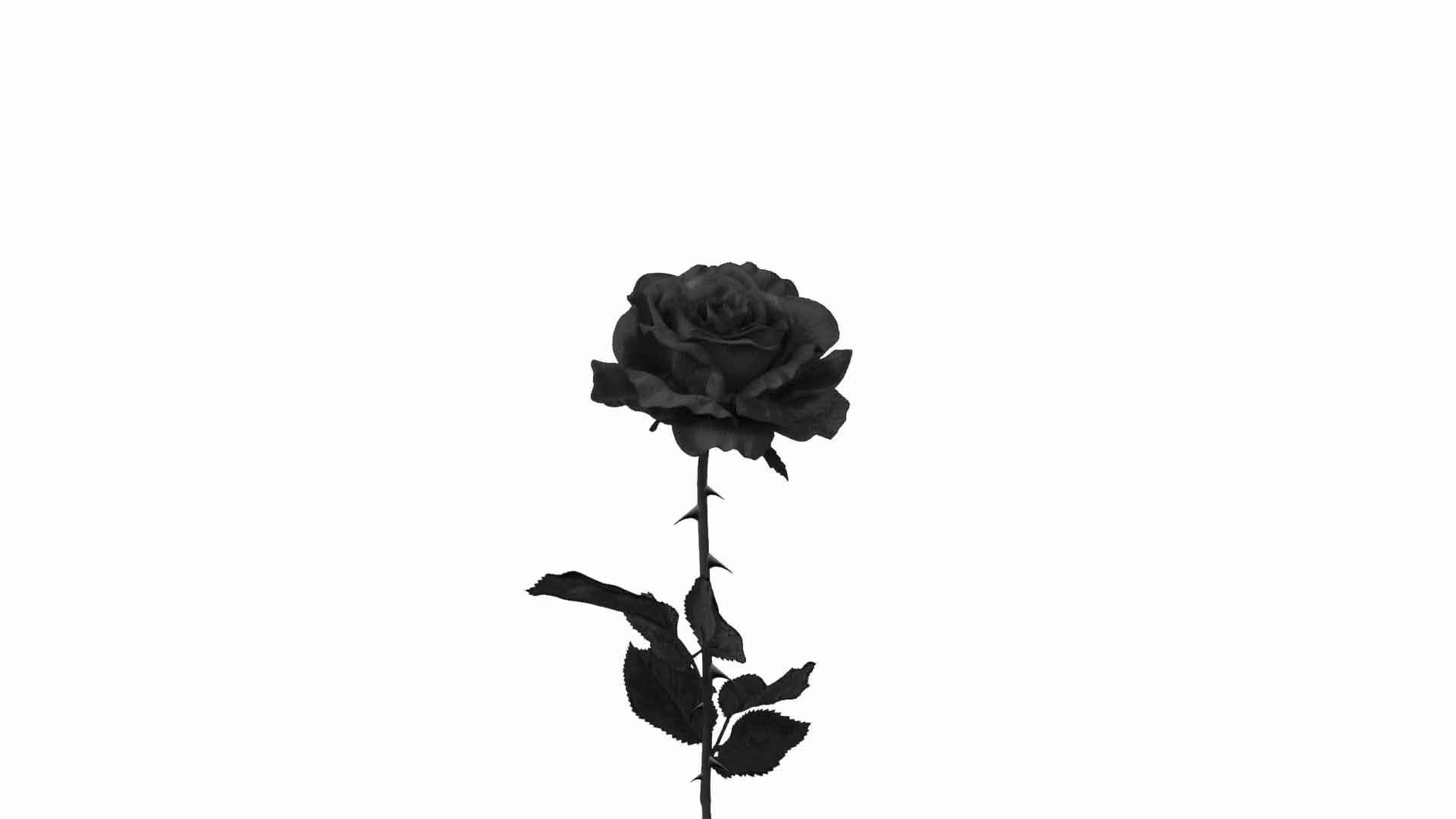 1920x1080 Bryson Tiller Wallpaper