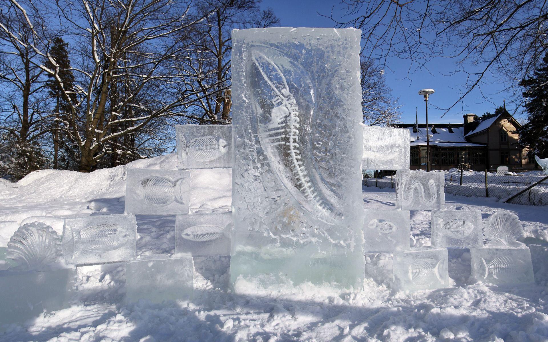 1920x1200 Ice sculpture. Photography blog