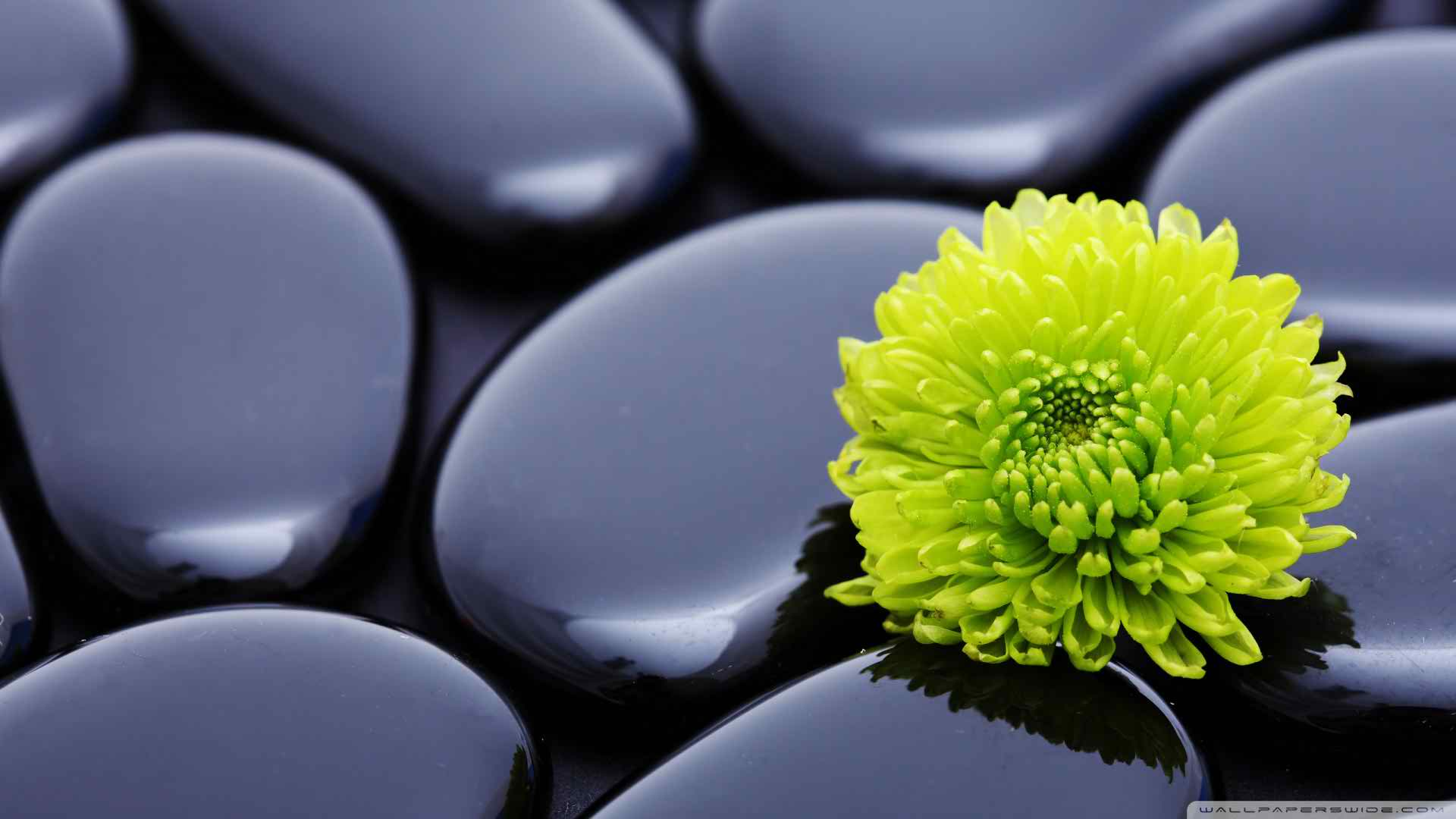 1920x1080 Zen Photo, Natural Zen Image