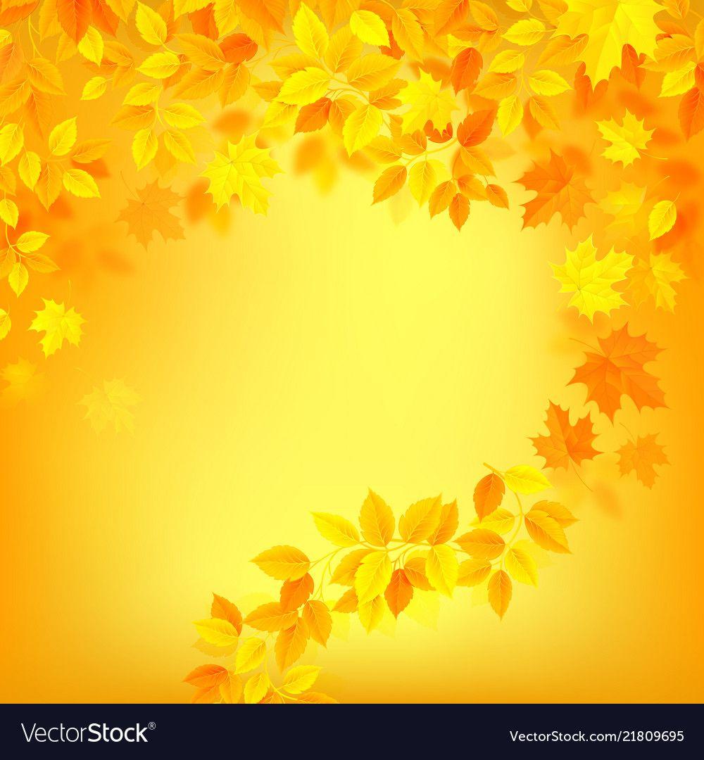 1000x1080 Free download Autumn decoration color background with yellow