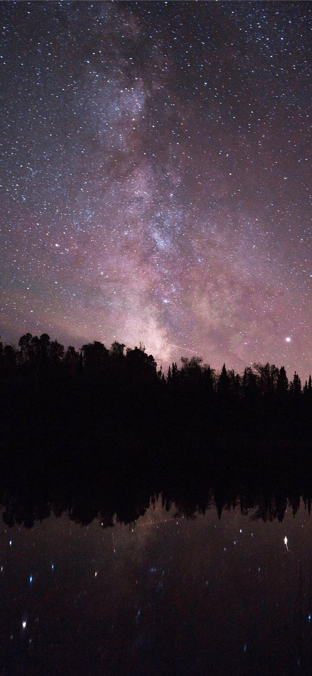 1242x2688 silhouette of trees and night sky photo iPhone X Wallpaper Free