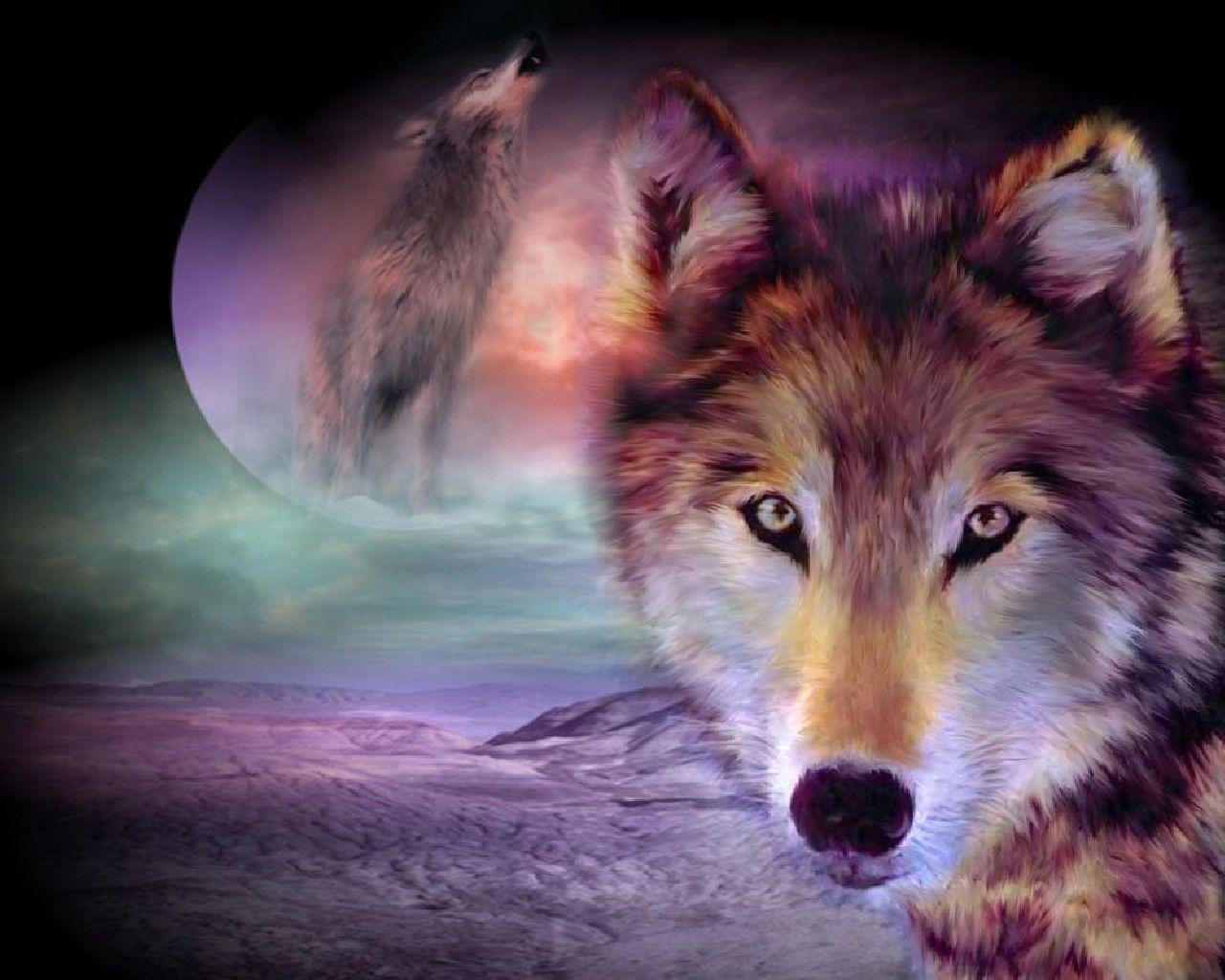 1280x1024 Animal Wolf Hình nền Dreamy Wolf.  Với cái nhìn xuyên thấu