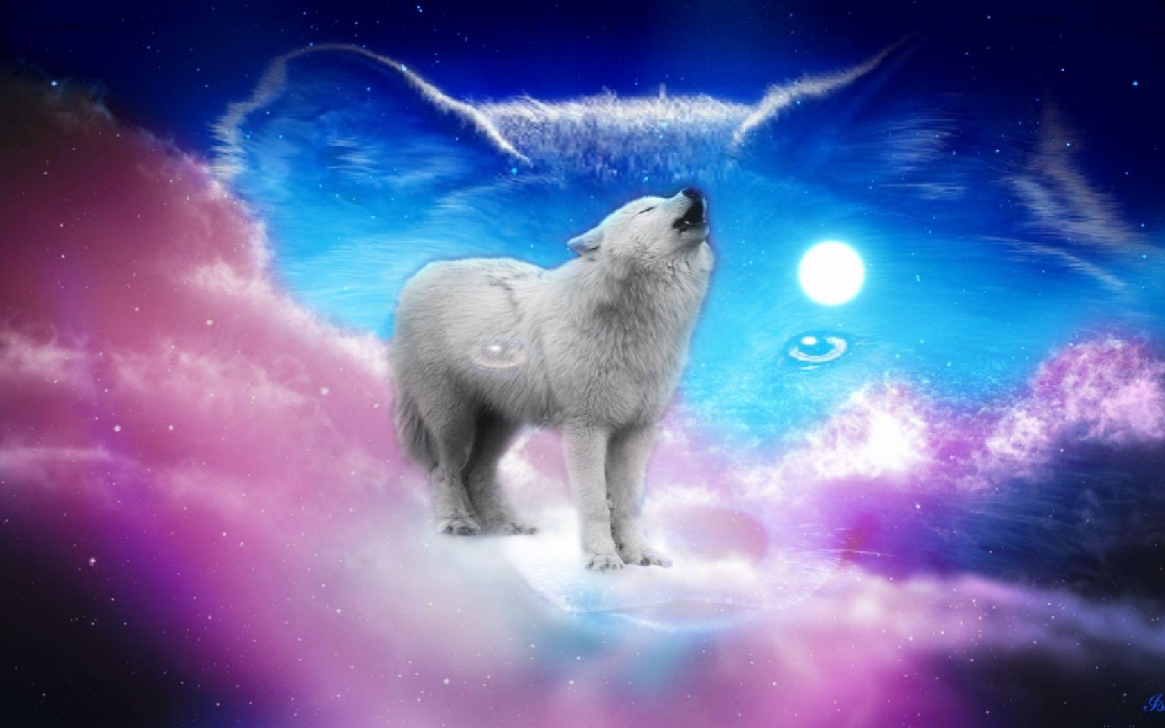 Hình nền máy tính PC và Mac 1680x1050 Cute Wolf Pink Sky Full Moon