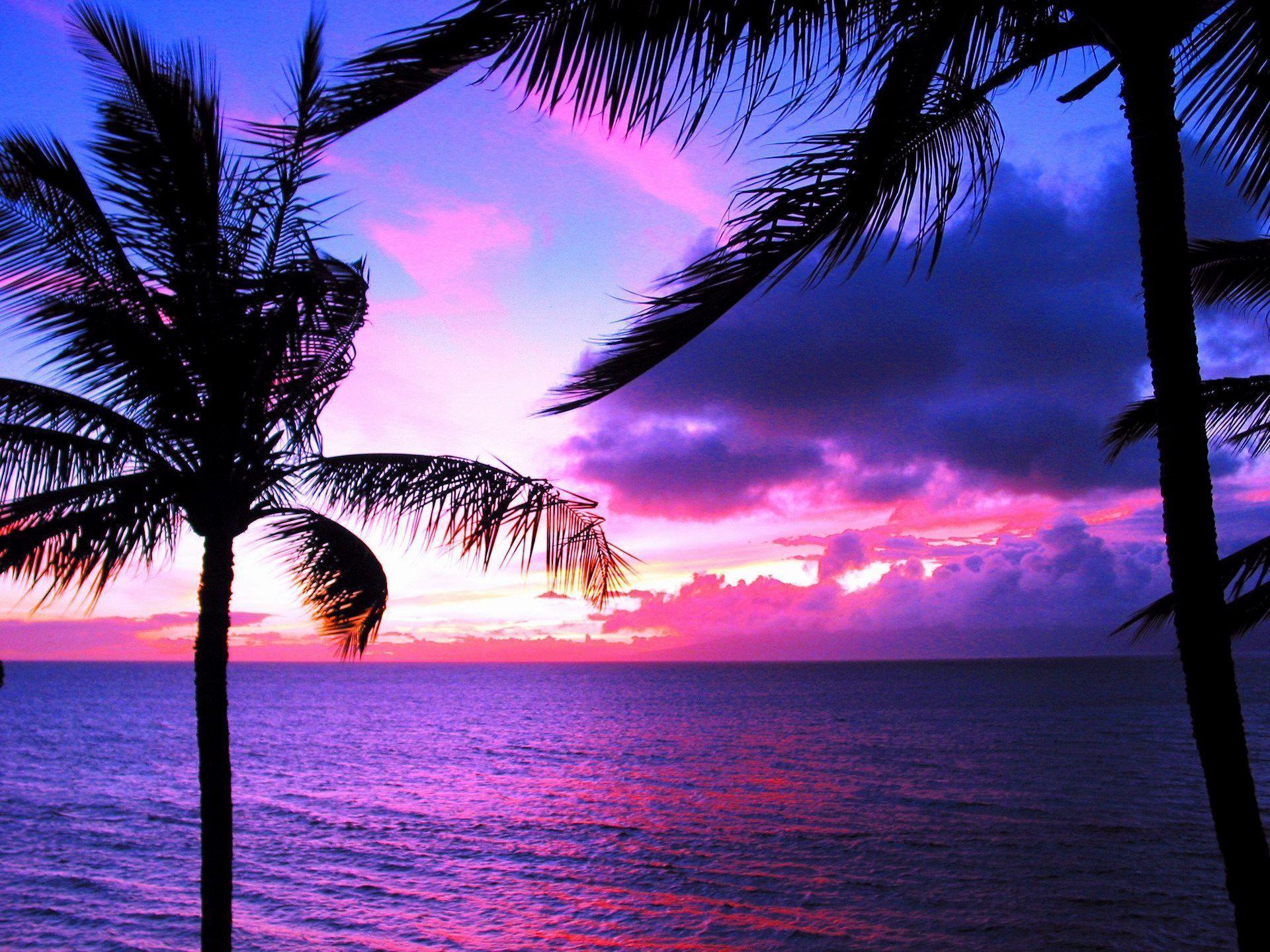 1920x1440 Hawaii Sunset hình nền