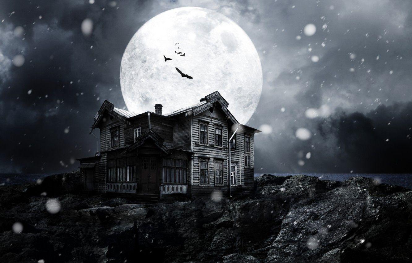 1332x850 Wallpaper snow, night, the moon, dark, dark, moon, horror, horror