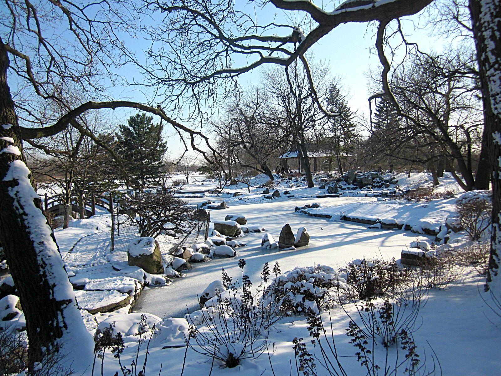 1600x1200 A Winter's Tale: Snowscapes in Jackson Park and Central Park. Urban