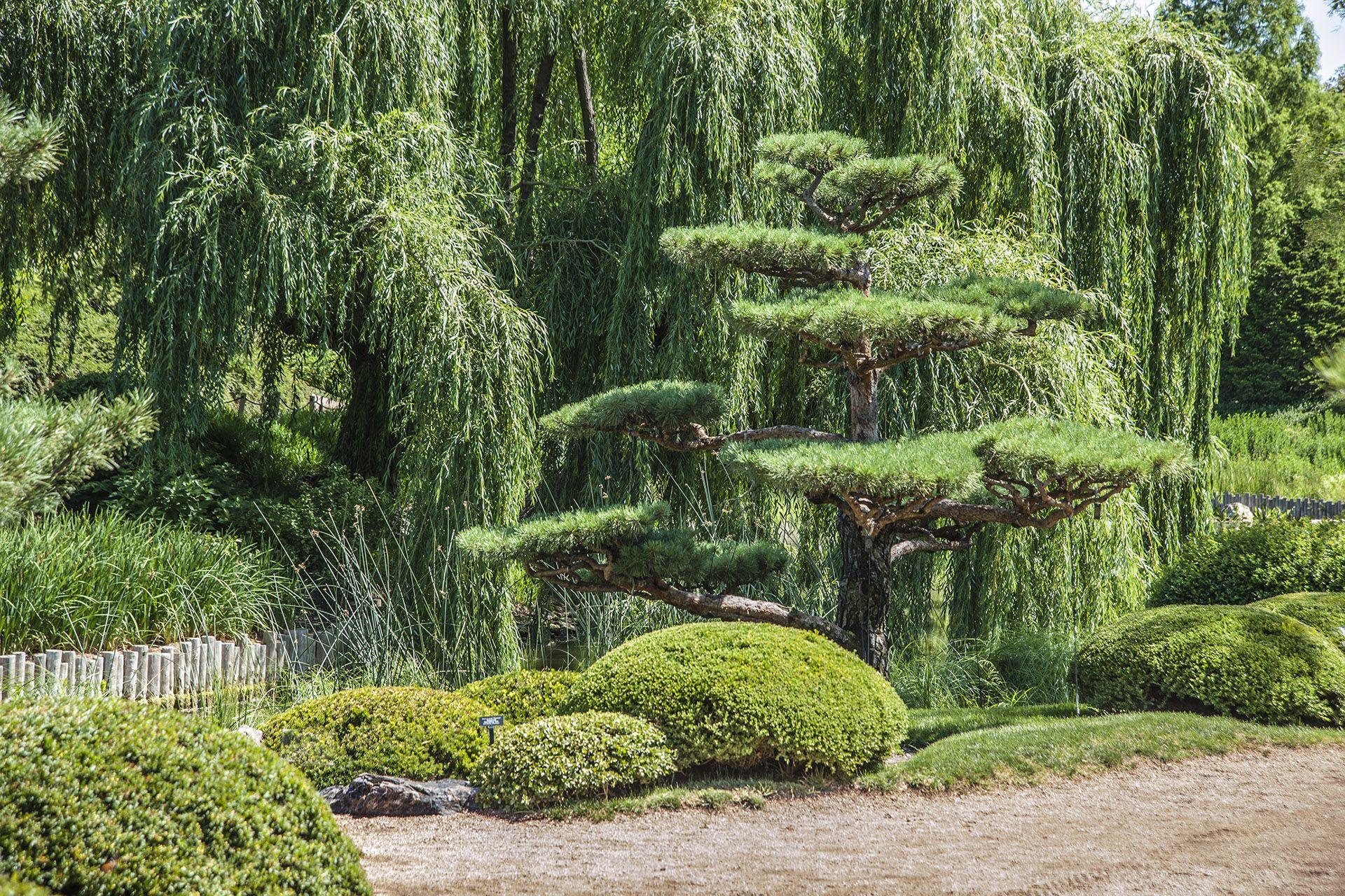 1920x1280 Chicago Botanic Garden in Glencoe: where East meets Midwest. U.S