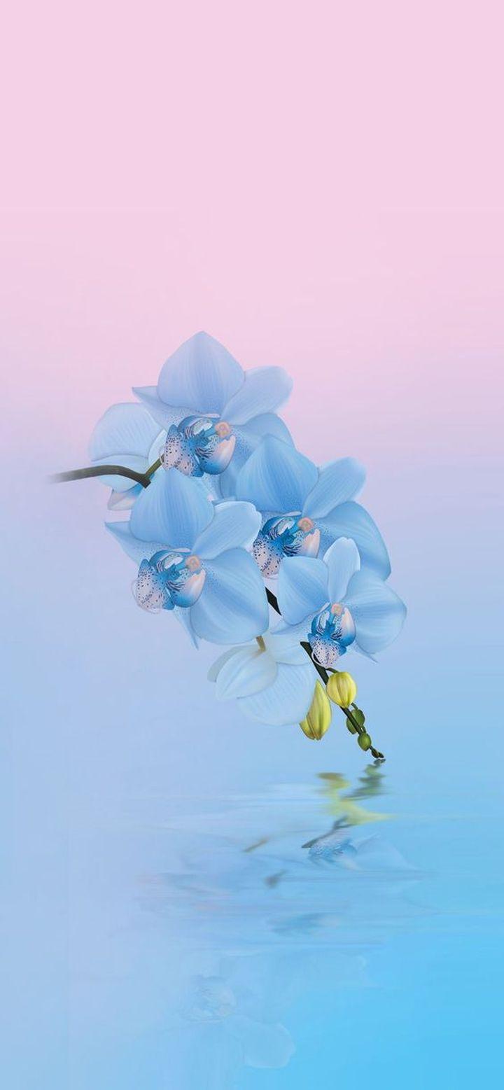 720x1557 HD Wallpaper For iPhone Xr