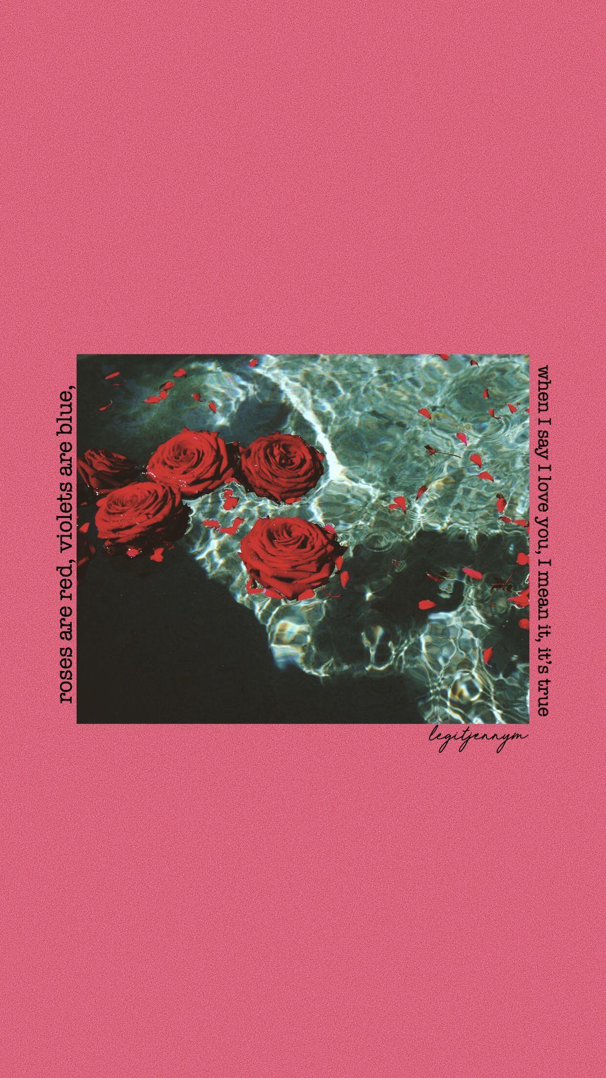 1242x2208 Pink, Roses Wallpaper. Pink retro wallpaper, Holo wallpaper, Rose wallpaper