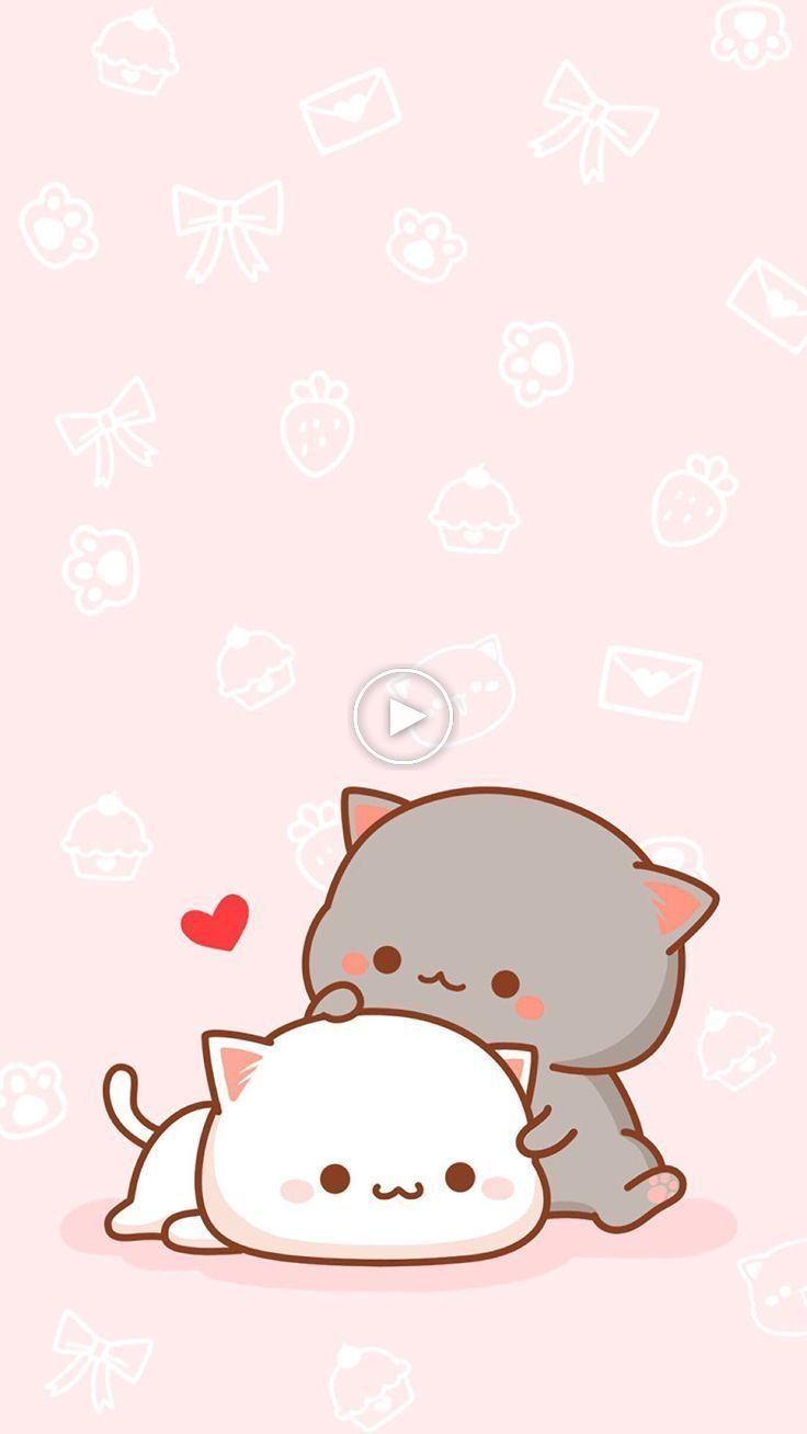 Cute Kitten Wallpaper 4K, Cute Cat, Girly backgrounds, 5K