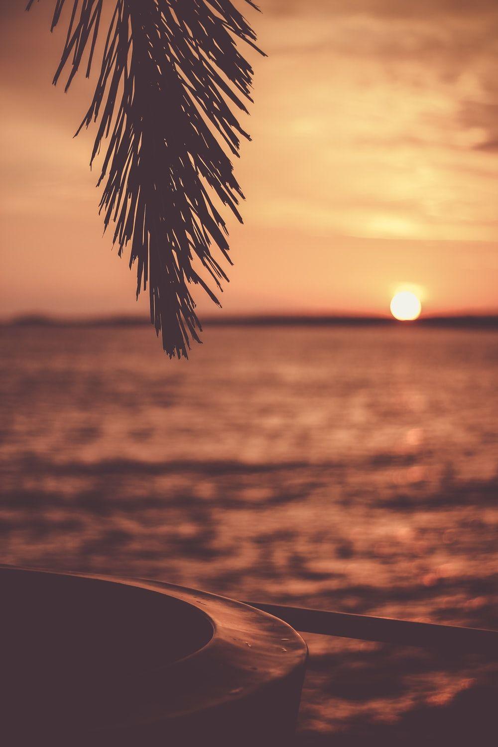 1000x1500 Sunset Image [Stunning!]. Download Free Image