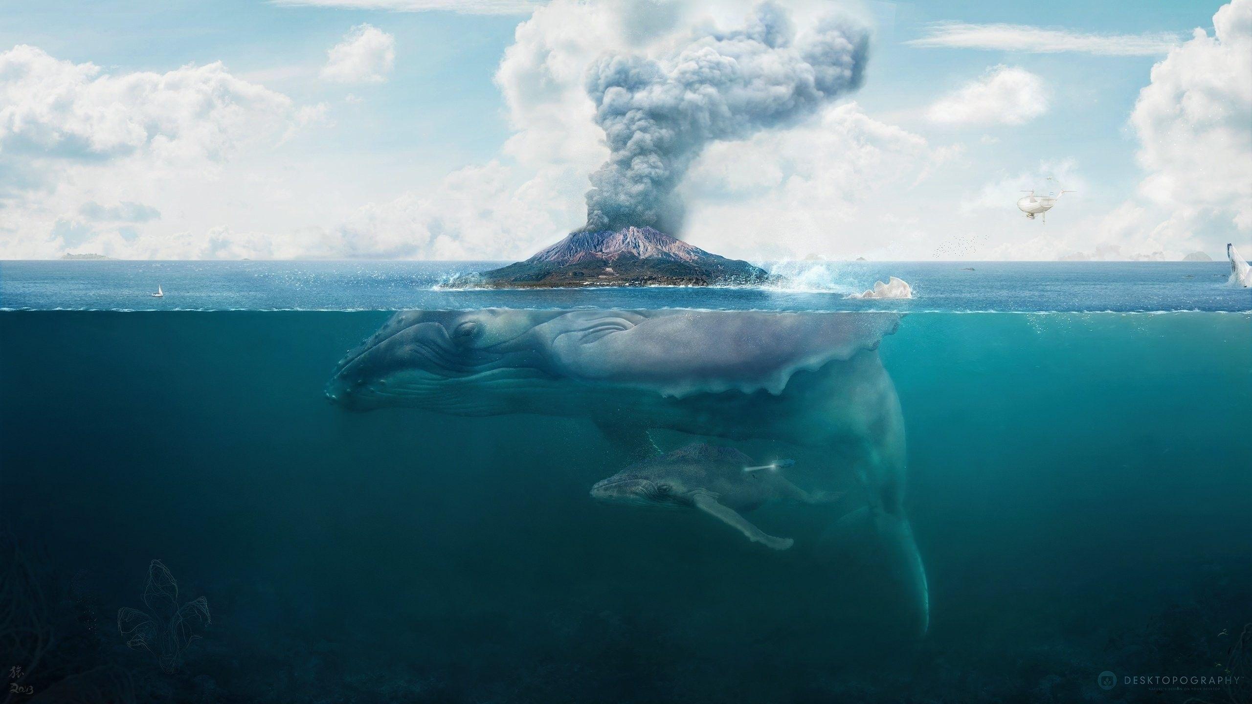 2560x1440 Hq, island, Colourful, Art, Fantasy, Whale, Wallpaper, Psychedelic