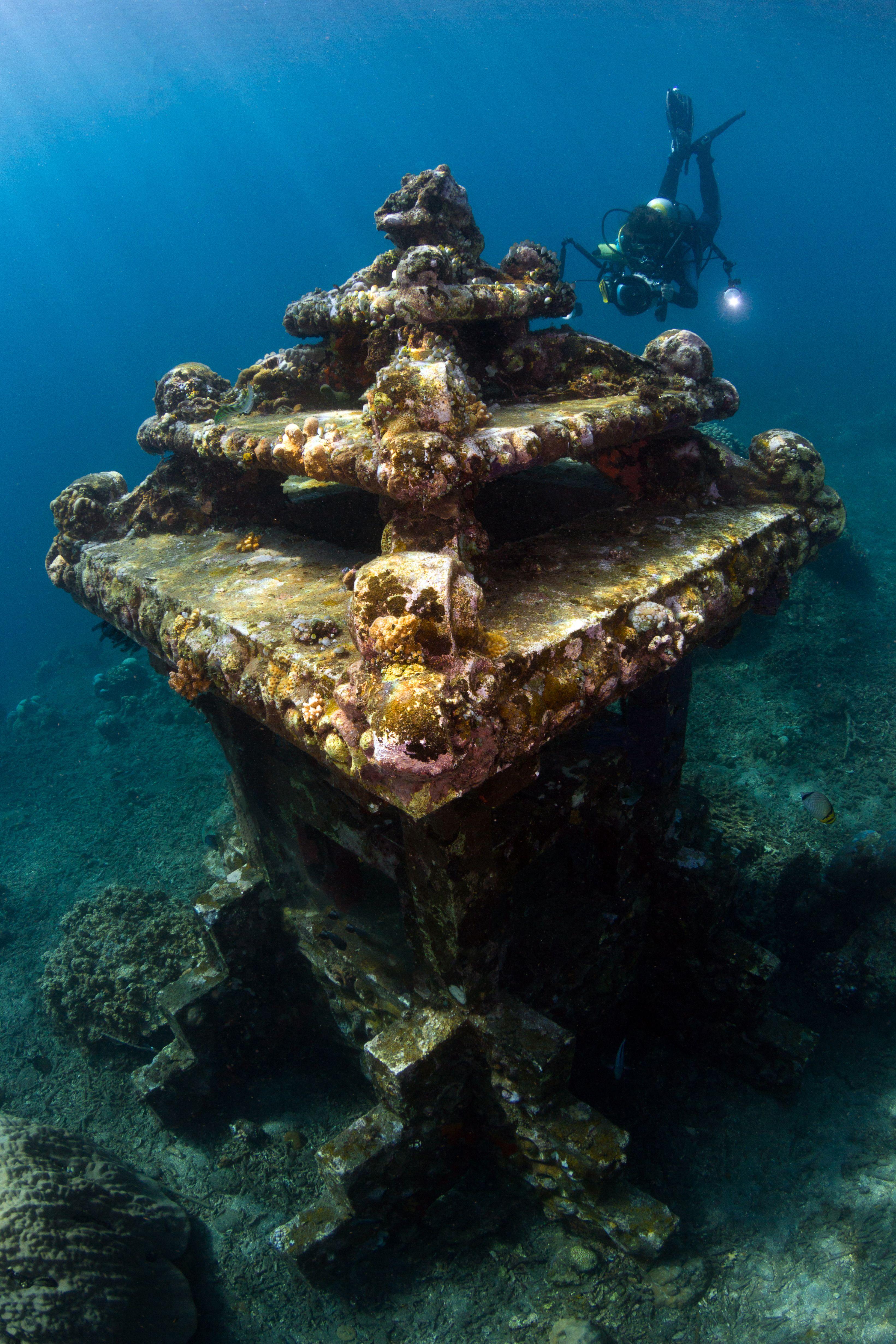 3282x4923 Underwater Image. Download Free Image