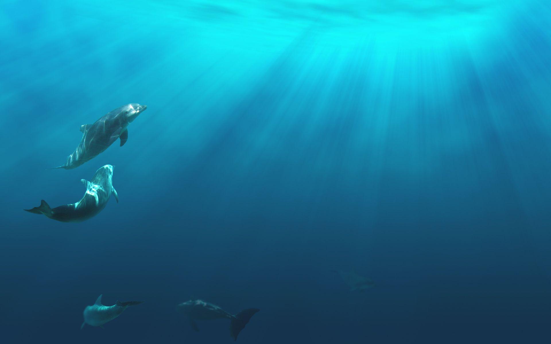 1920x1200 Ocean Underwater Wallpaper HD