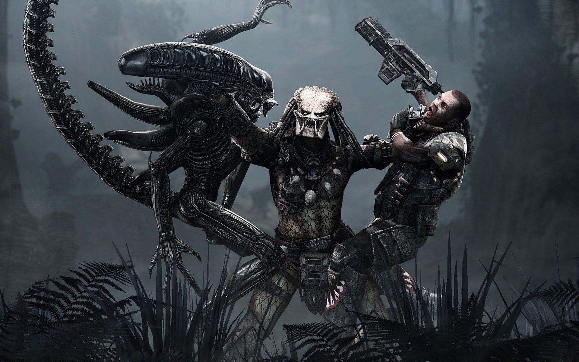 download alien vs depredador