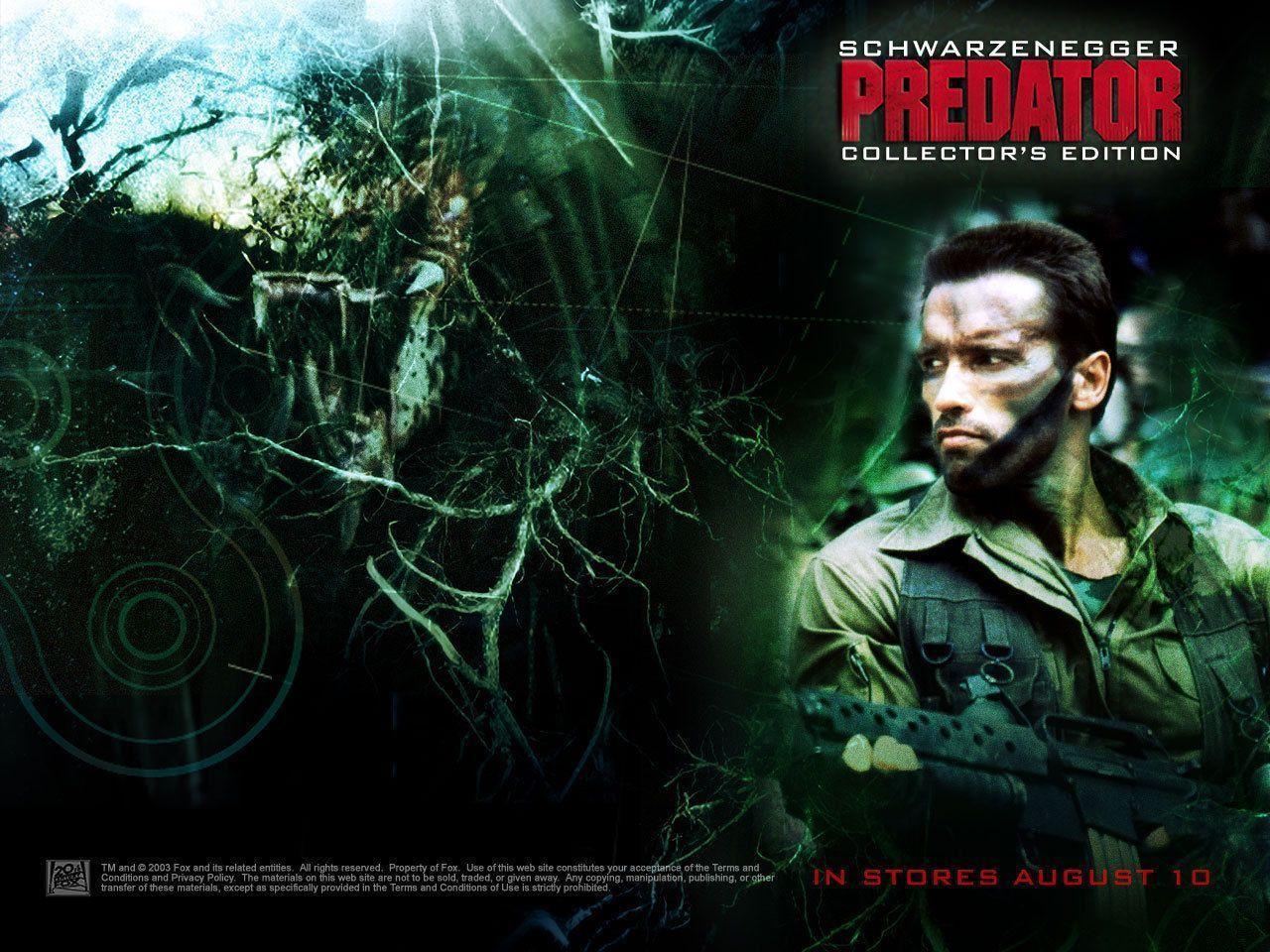 1280x960 Predator 2 Wallpaper