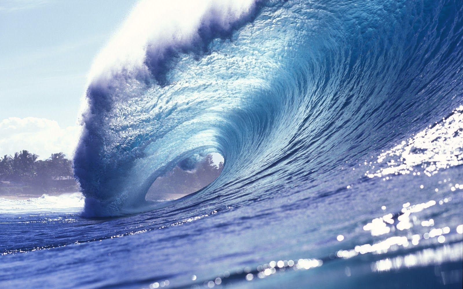 1600x1000 Surfing Wallpaper for Desktop