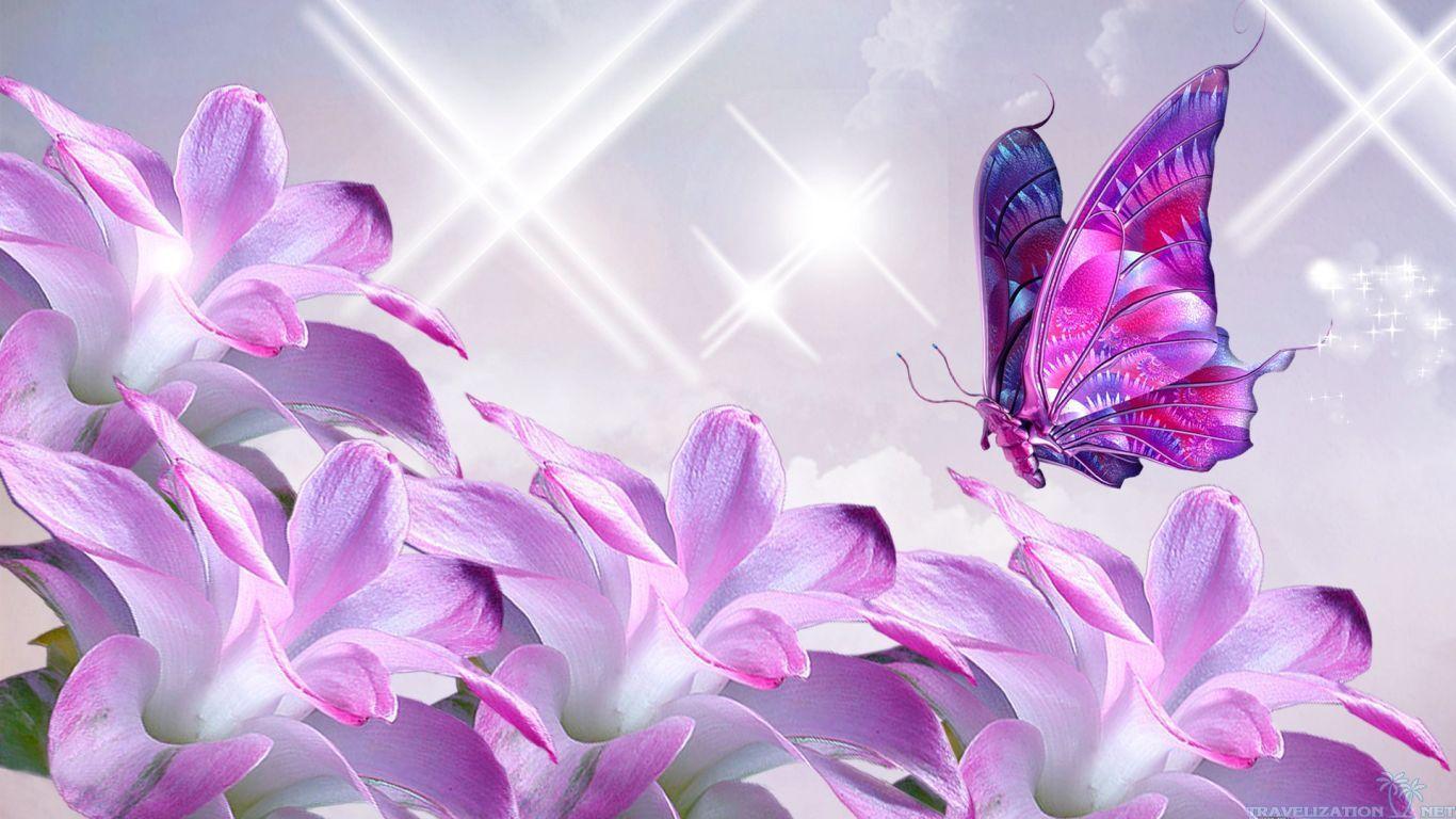 1366x768 HDQ Beautiful Flower Image, Wallpaper for Desktop, BsnSCB