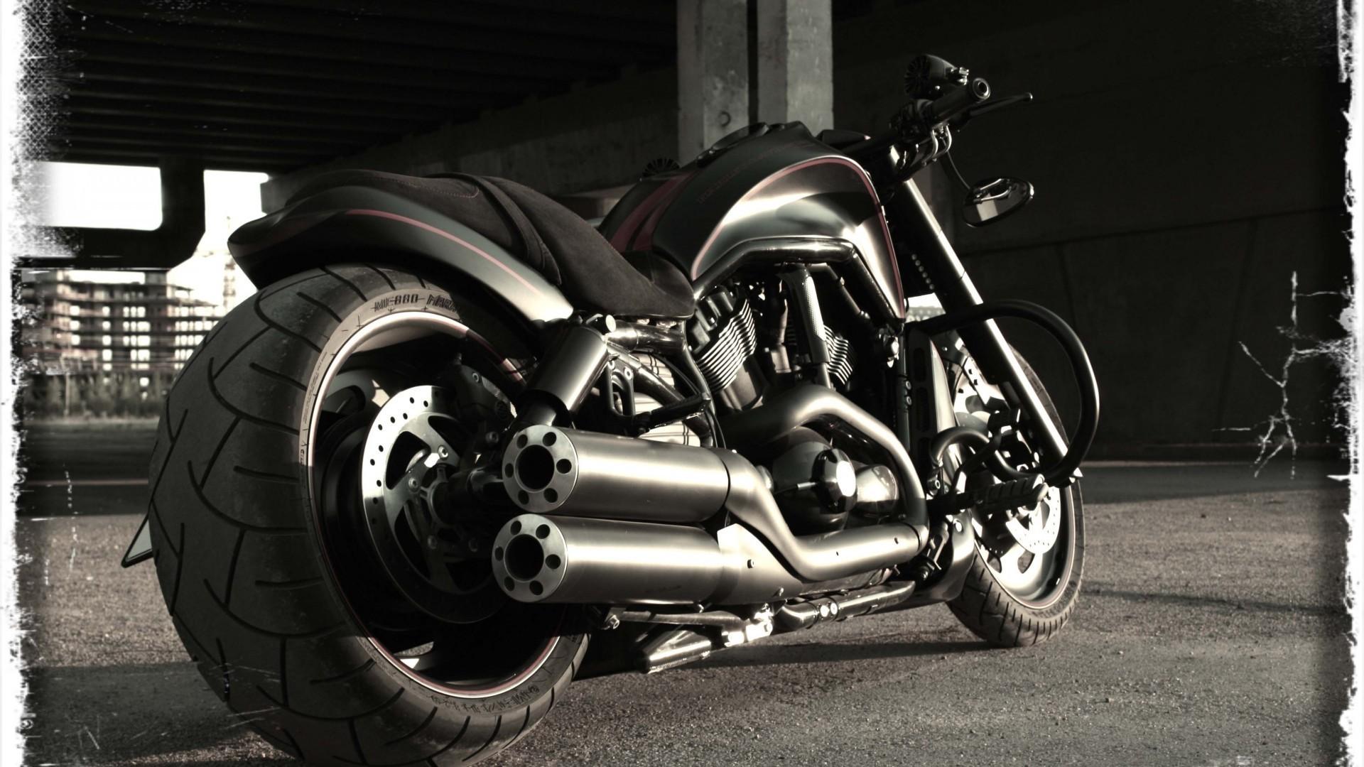 hd night rod