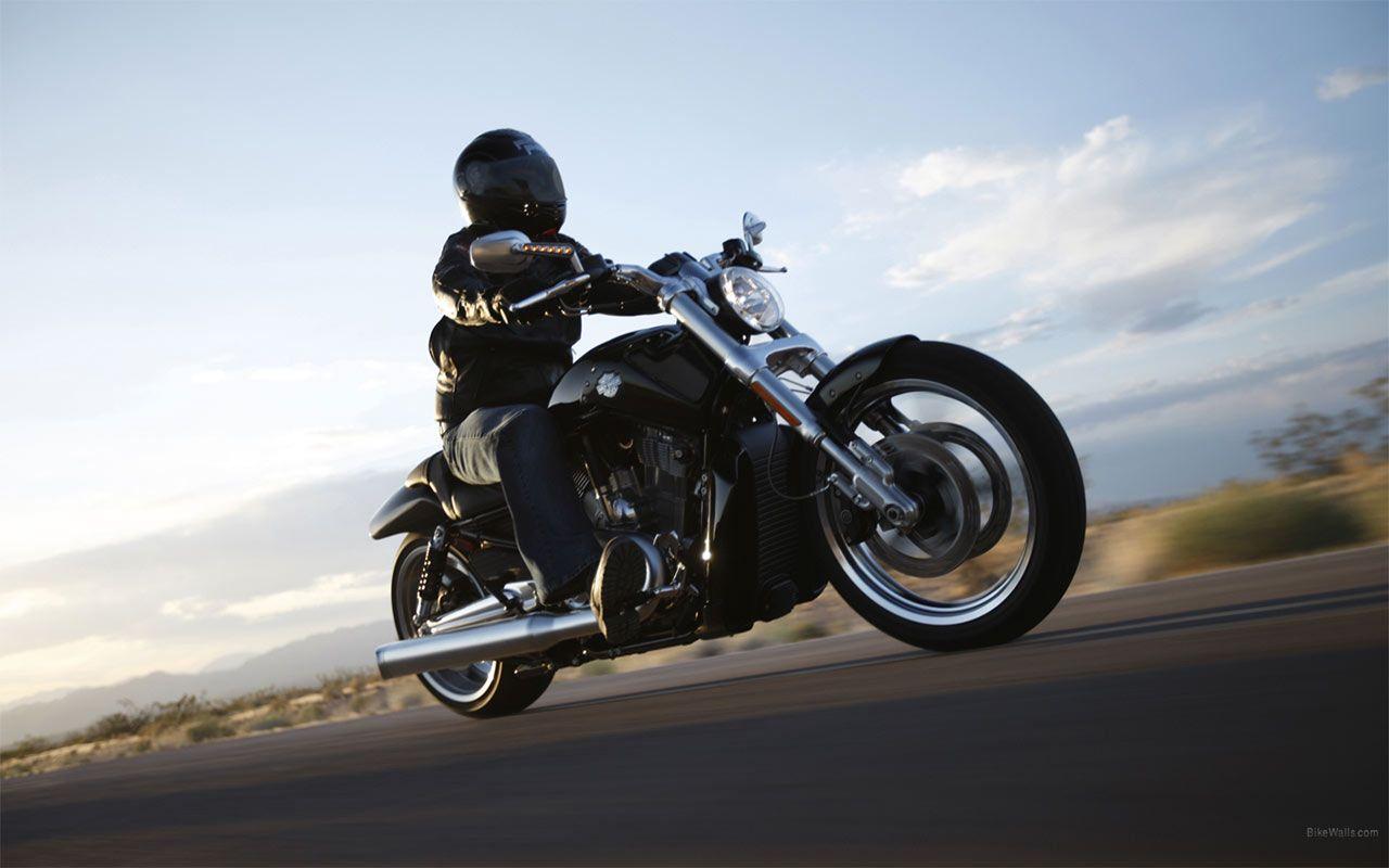 1280x800 Harley Davidson VRSCF V Rod Muscle 1280 X 800 Wallpaper
