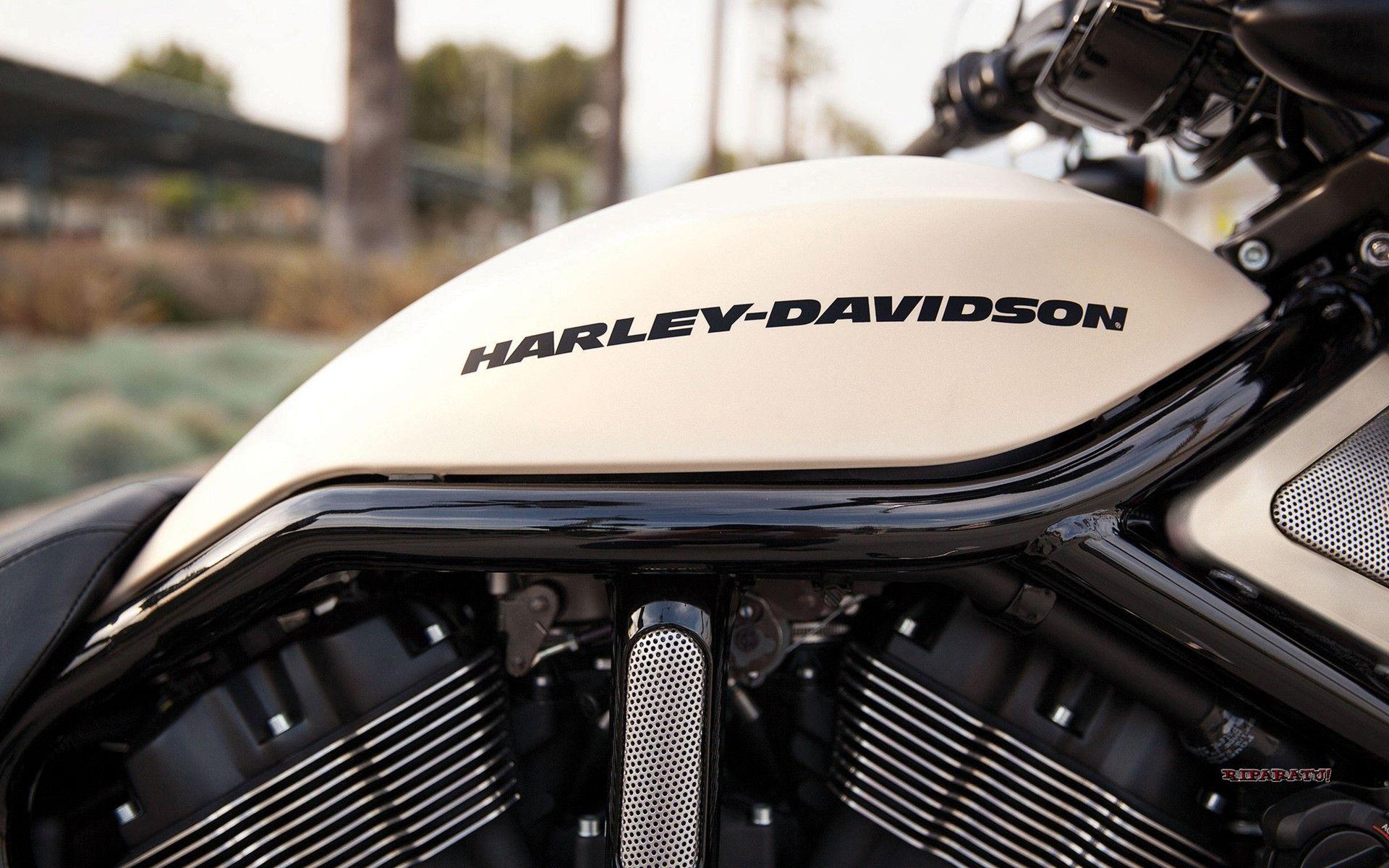 1920x1200 Harley Davidson V Rod Night Rod Special 2014 Wallpaper