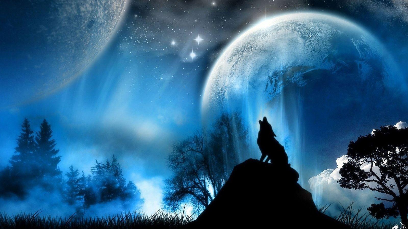 1600x900 Free download Most Dangerous Wild Animal HD Wallpaper