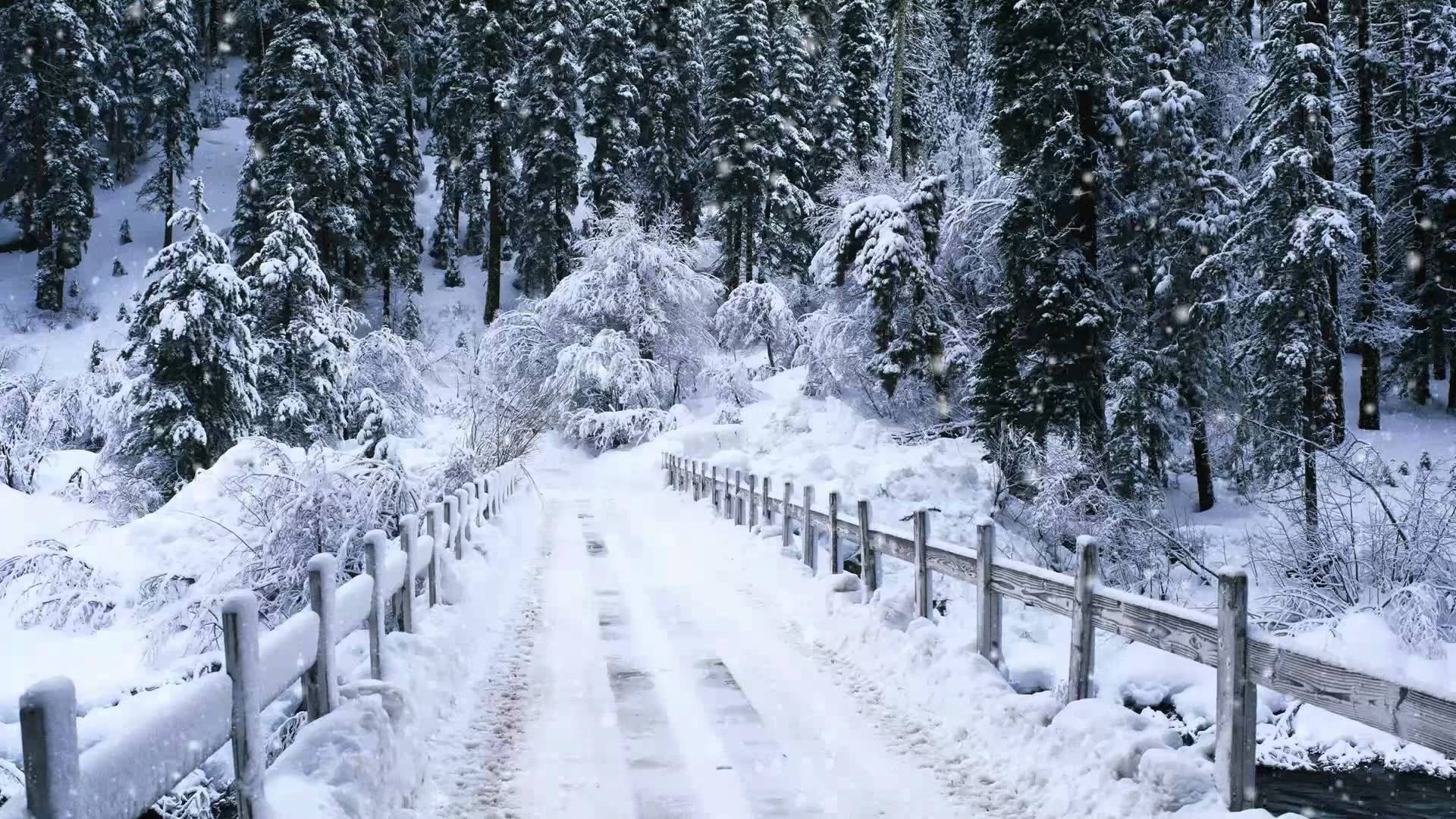 1920x1080 Free Snow Falling Wallpaper (1920x1080 px)