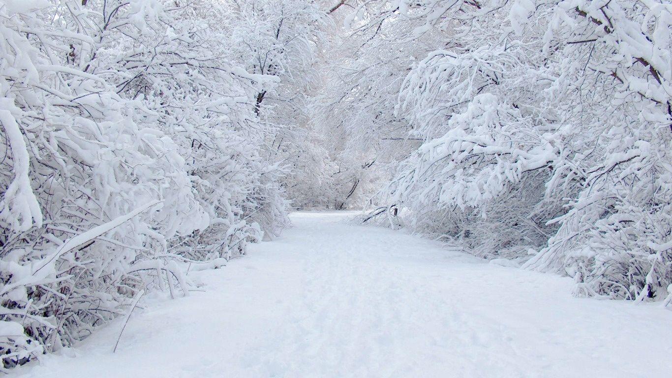 1366x768 Winter Wallpaper. Wallpaper Stocks. Winter wallpaper, Snow scenes, Free winter wallpaper