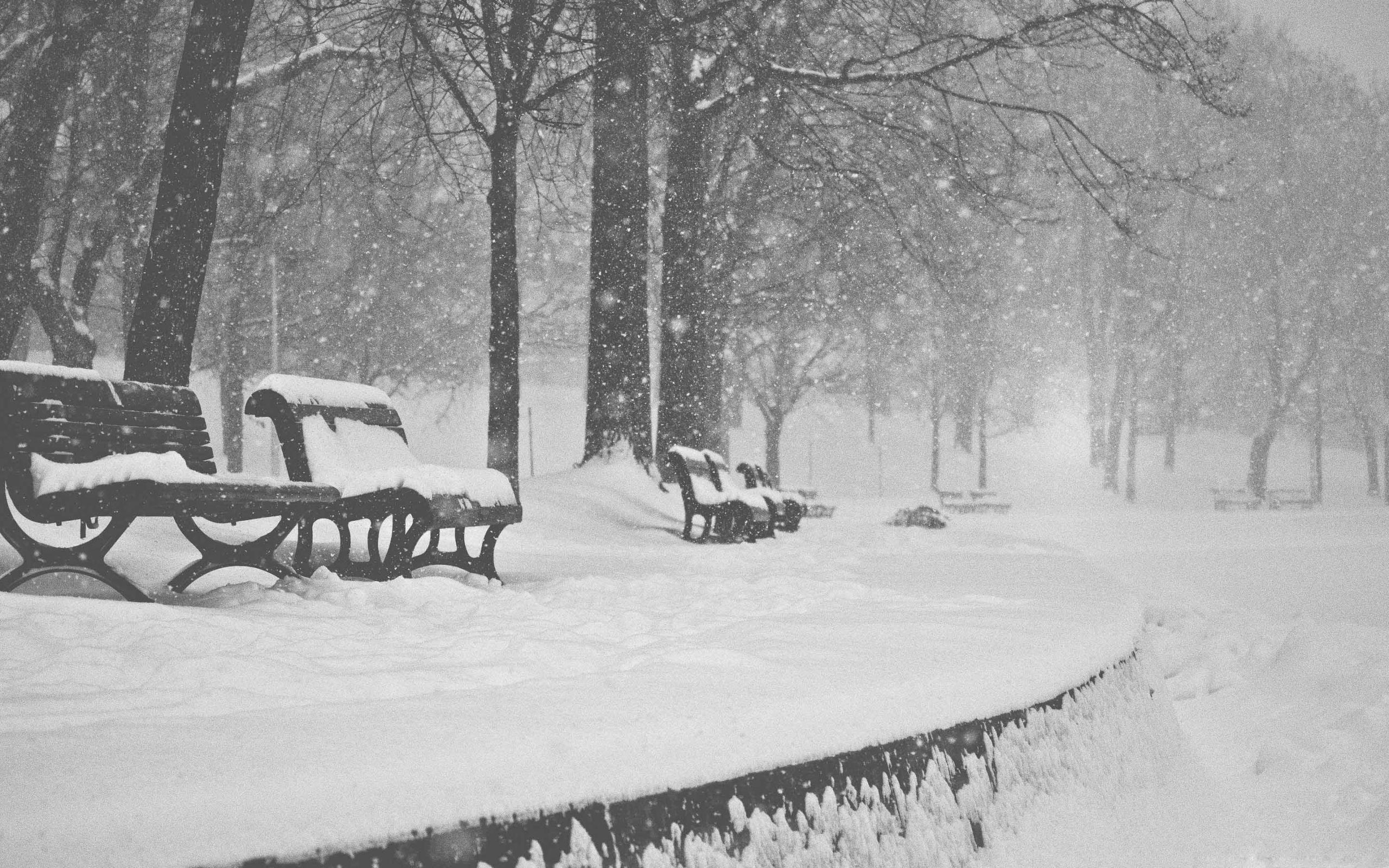 2560x1600 Snow Falling Black And White MacBook Air Wallpaper Download