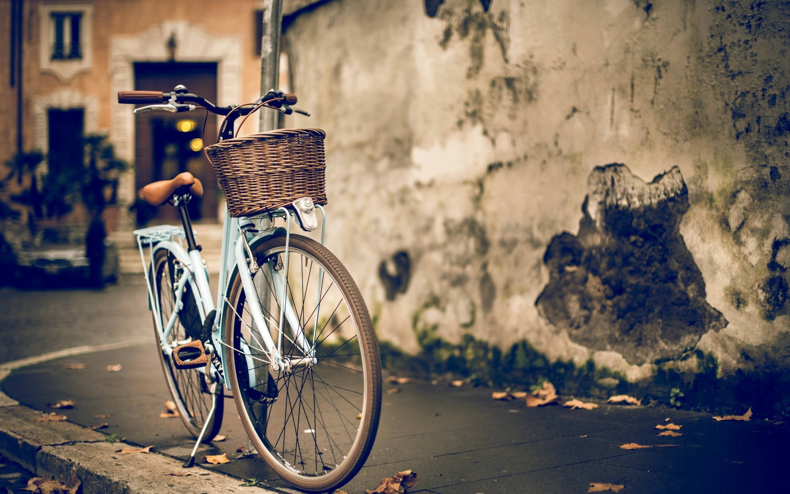 2560x1600 Free Bicycle Wallpaper
