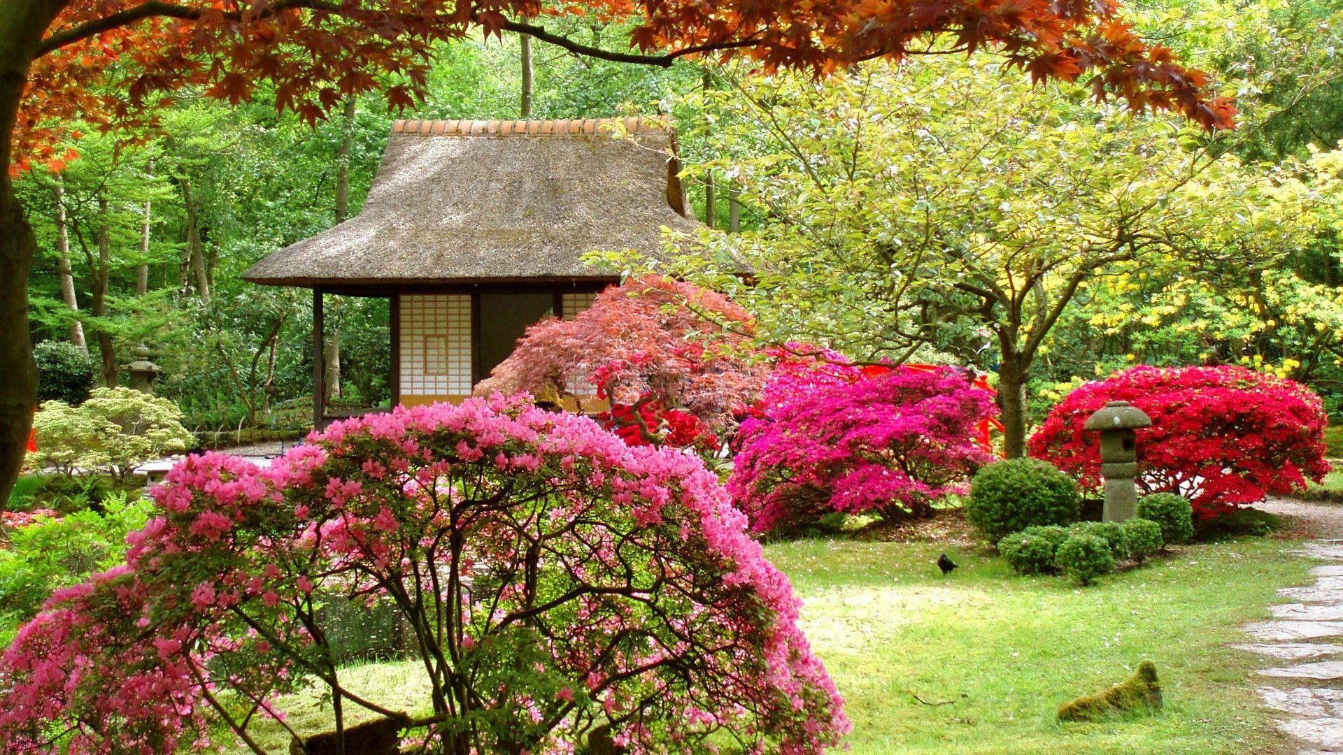 1920x1080 Garden Wallpaper