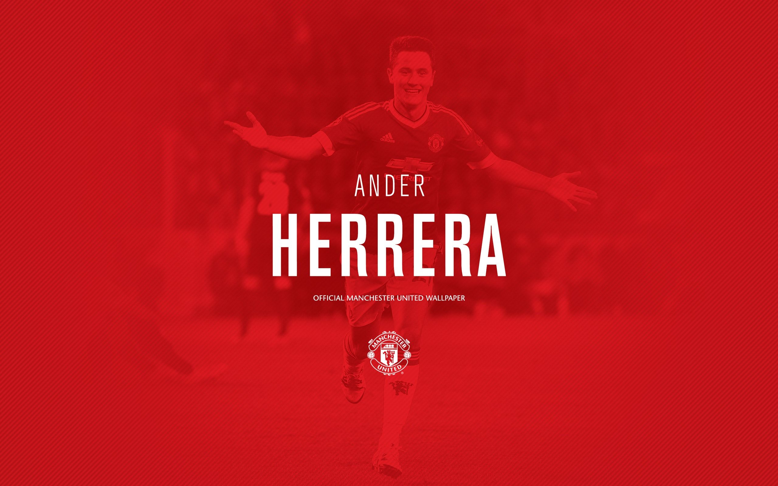 2560x1600 Ander Herrera 2016 Manchester United Fondo De Pantalla HD