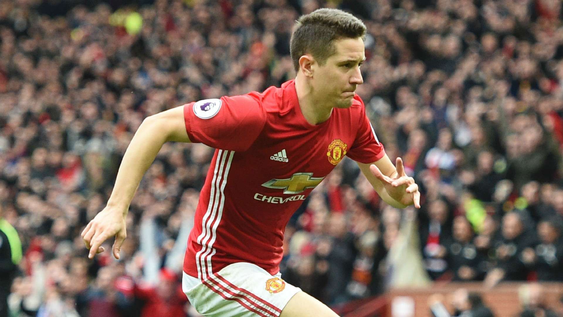 1920x1080 Manchester United news: Ander Herrera crowned Player of the Year